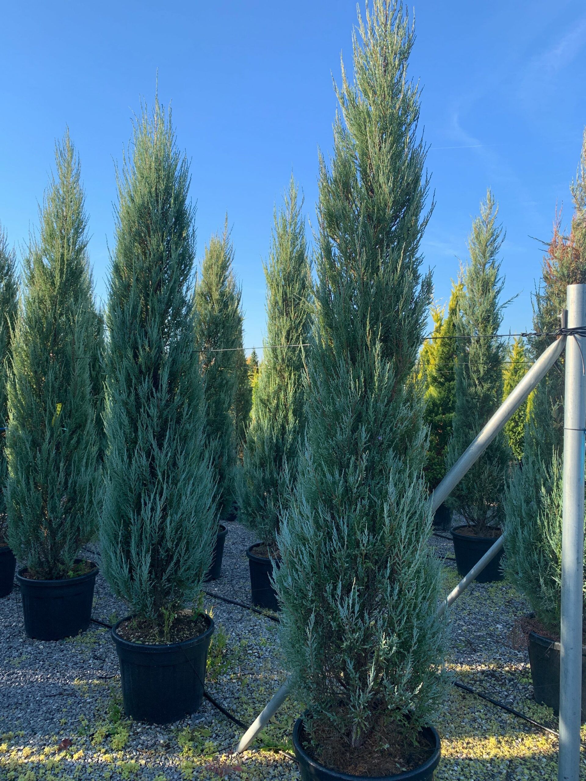 1637310263 scaled 36a94679