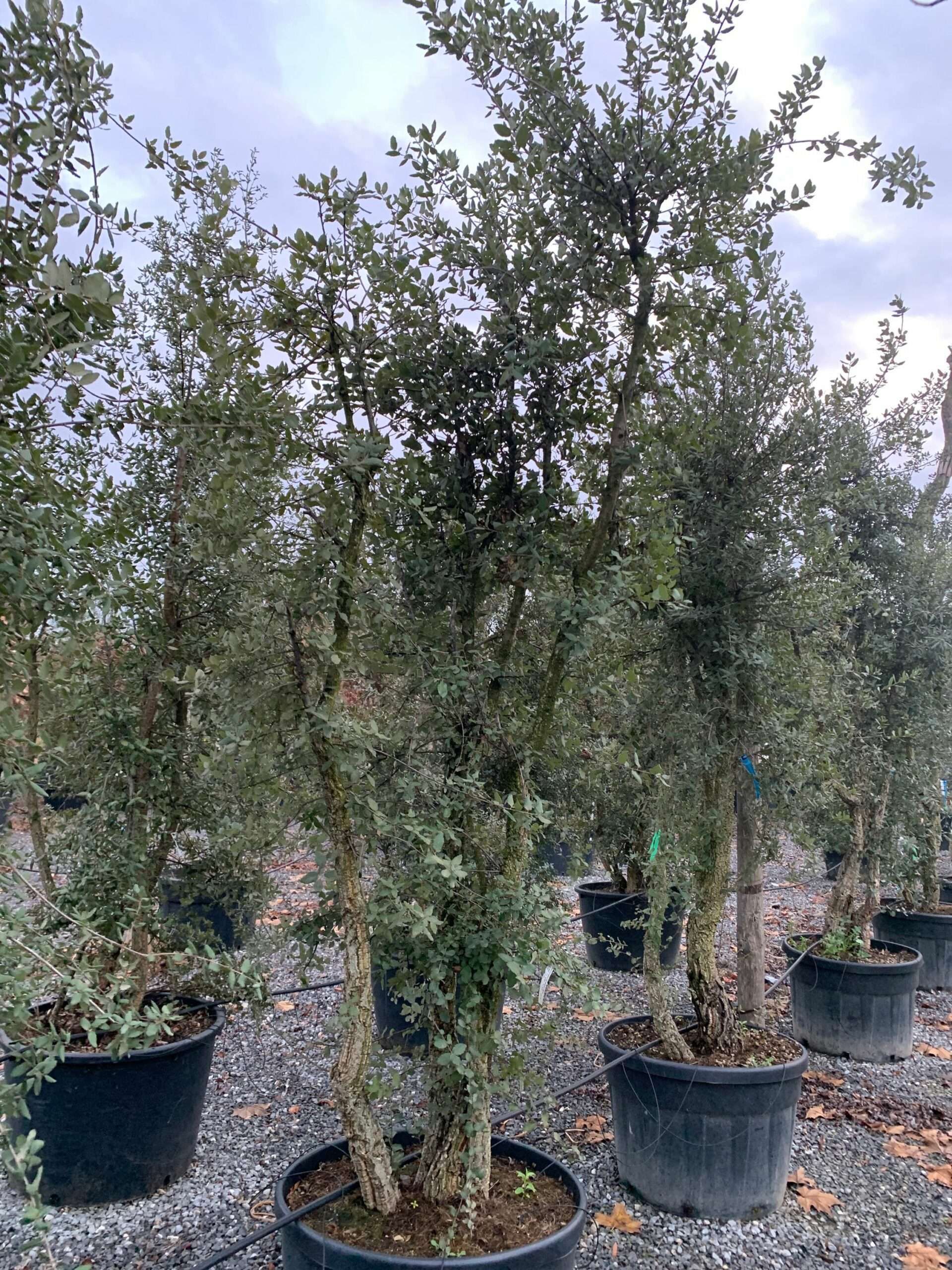 1641224224 scaled 36639bcd