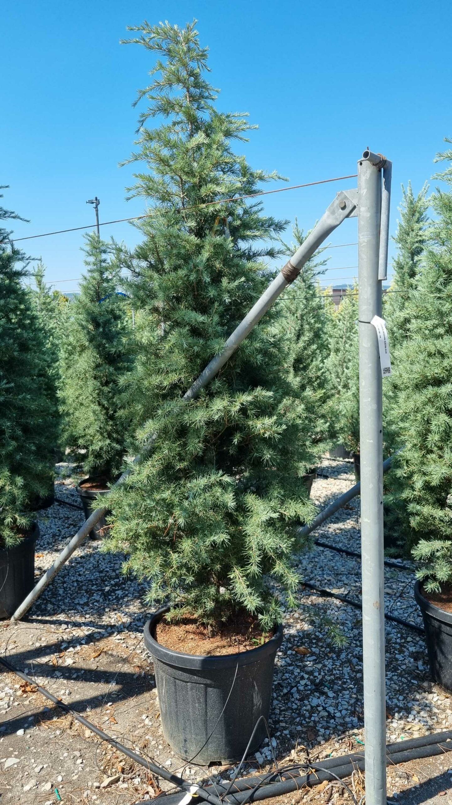 1658220515 scaled 36b7f47c