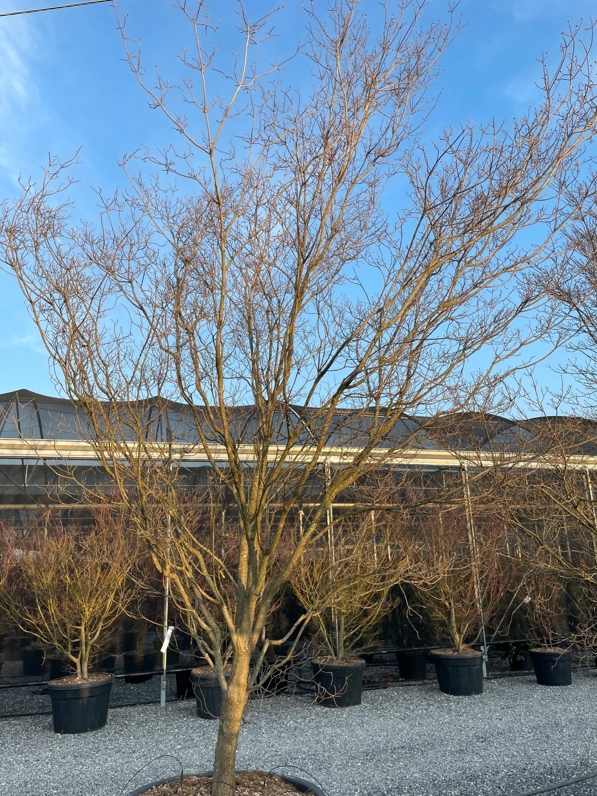 1676909778 scaled 367159c6