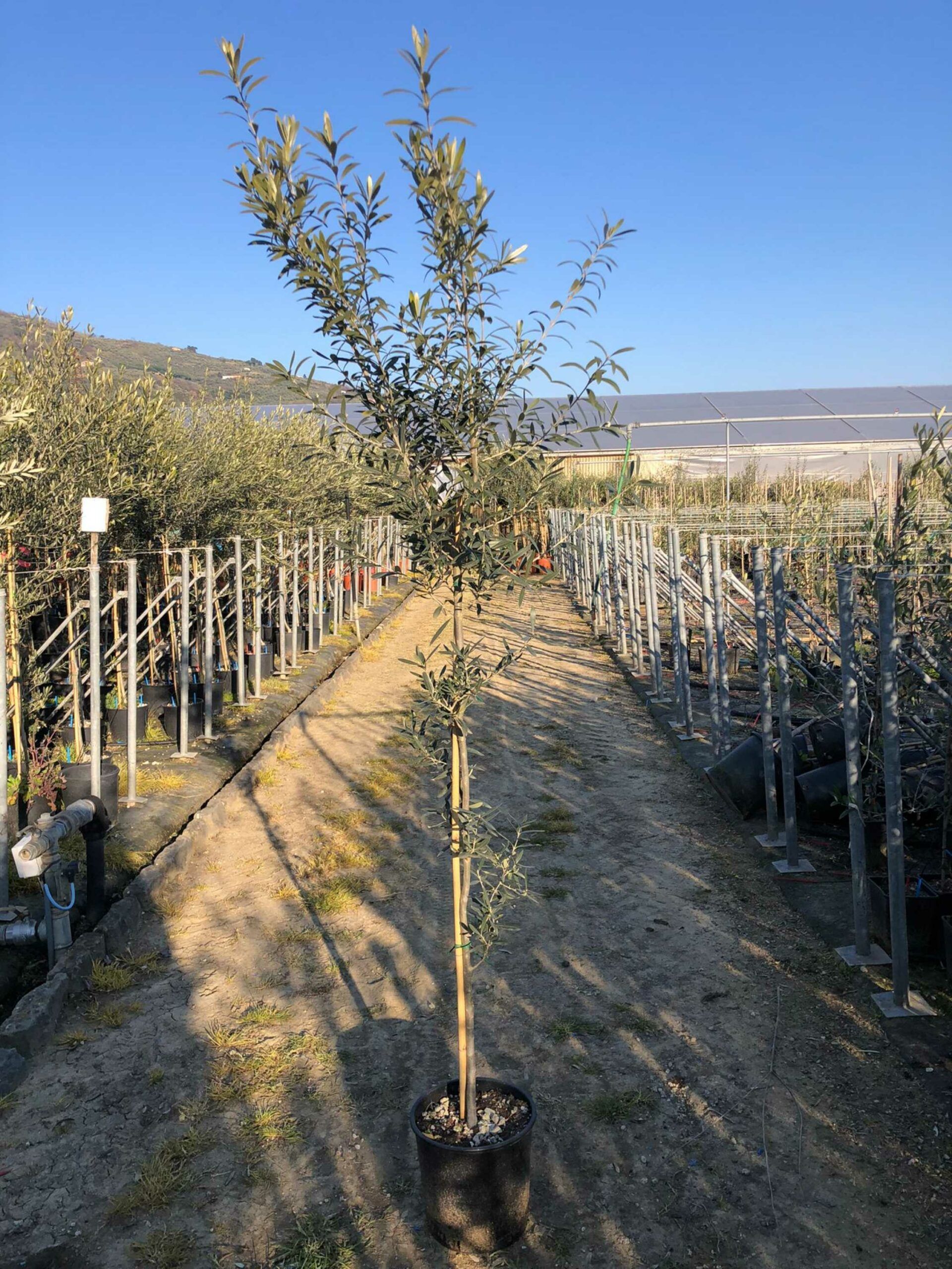 1678387126 scaled 36a04cac