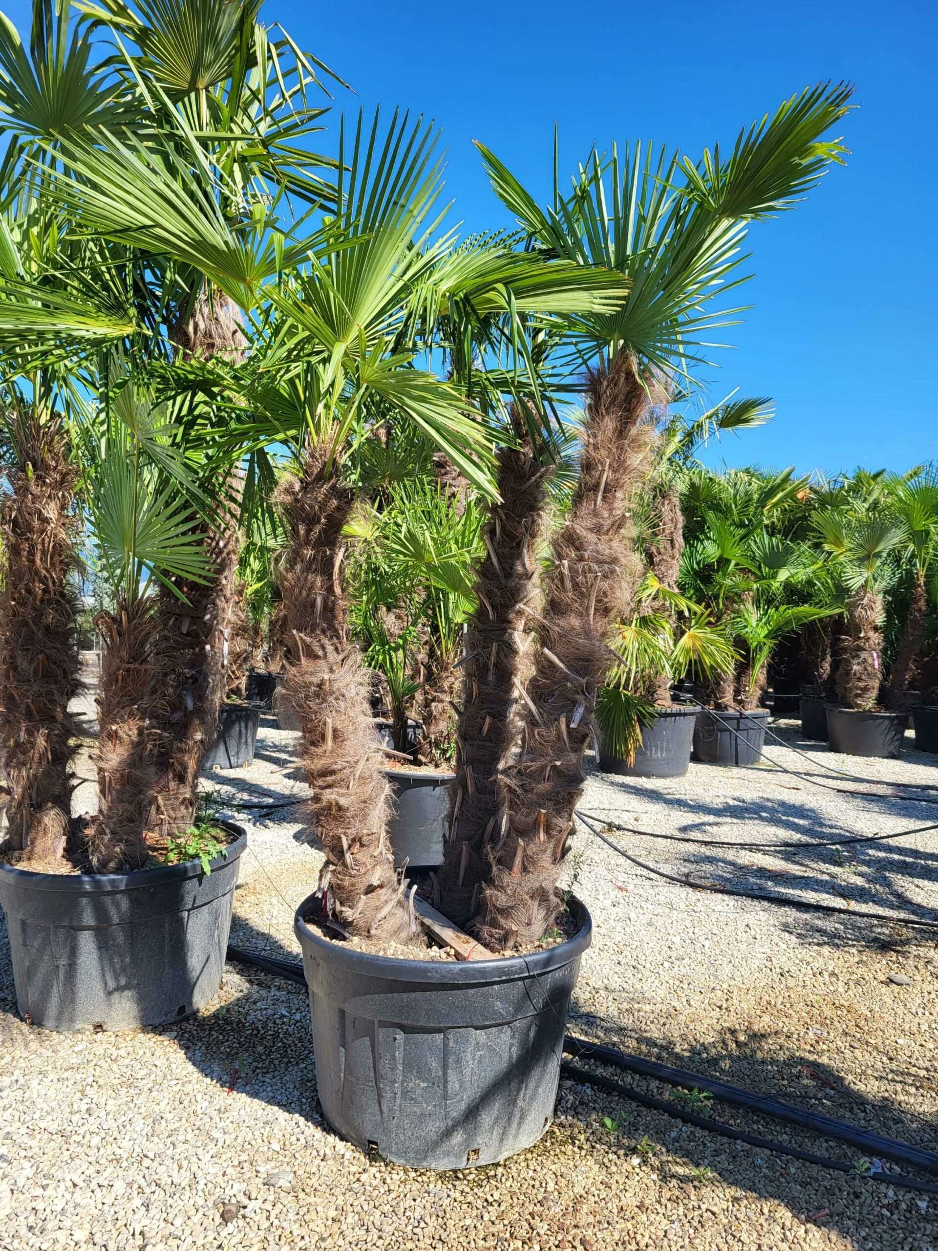 1691482764 scaled 36e4de37