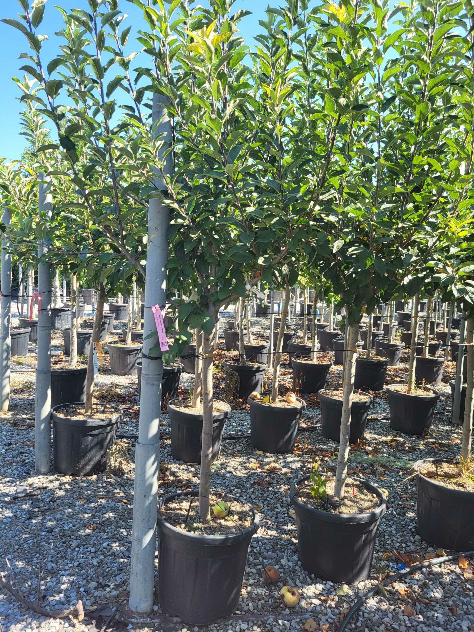 1692694325 scaled 364fd80f