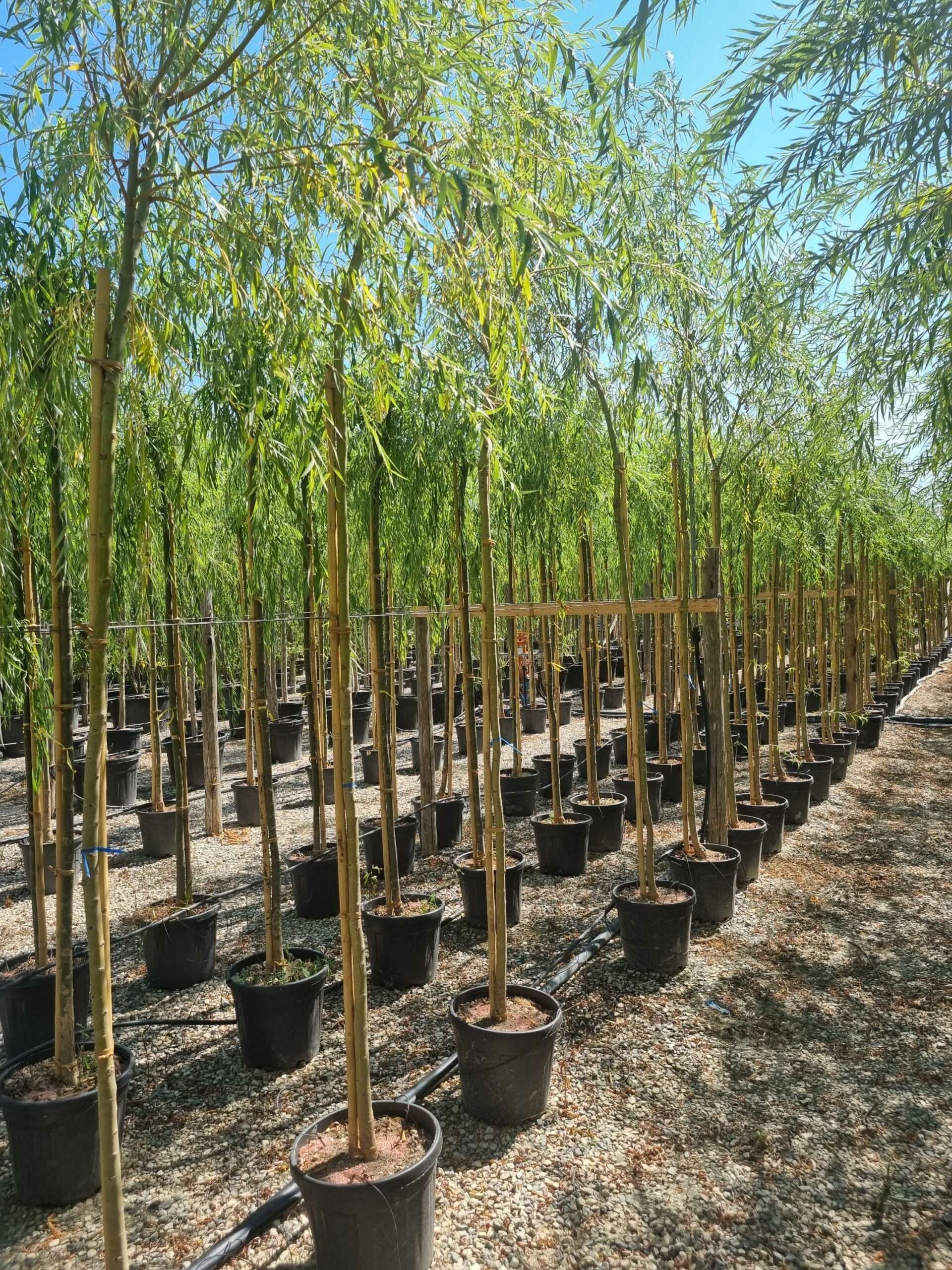 1692795985 scaled 36e26e9d