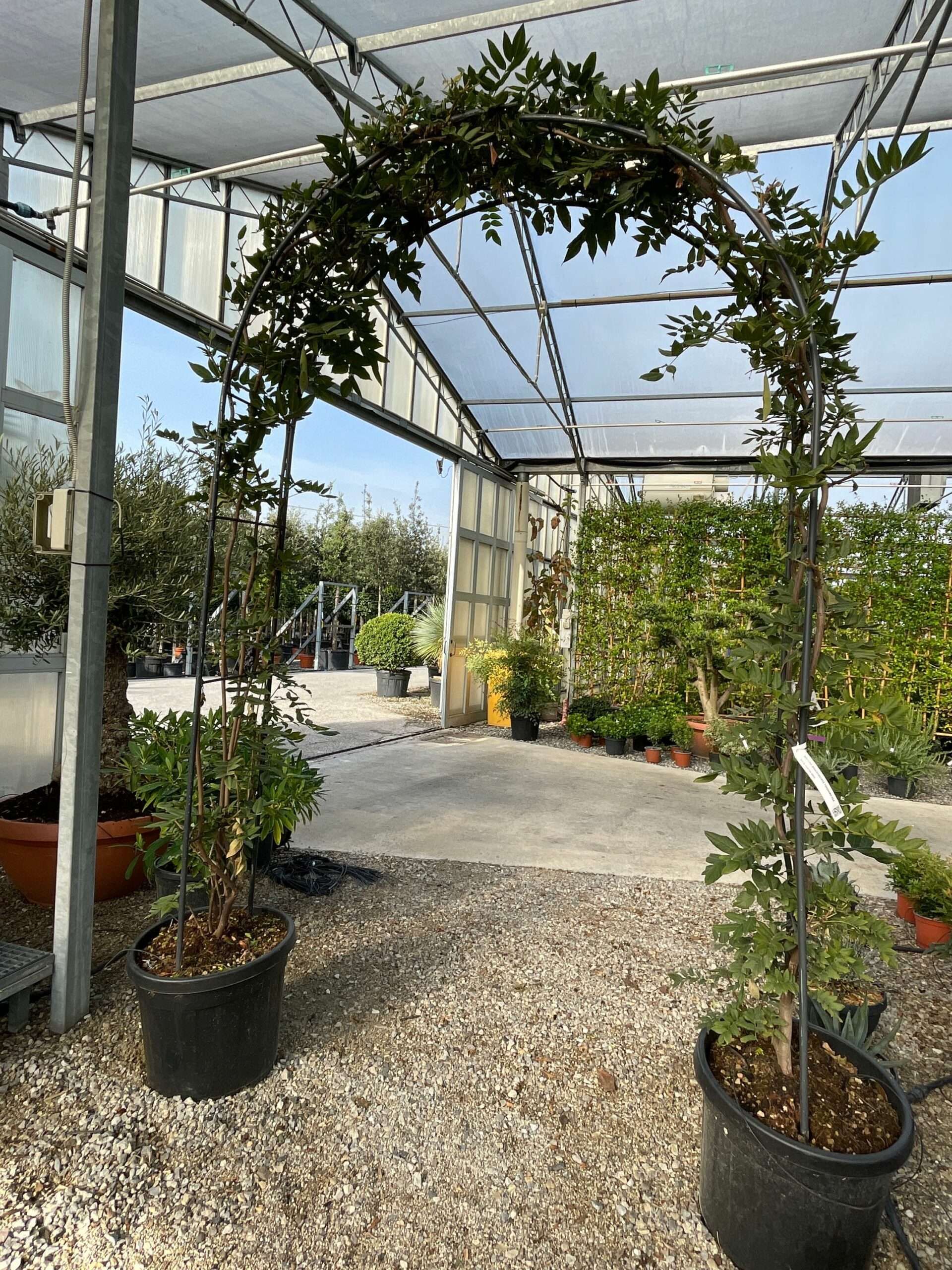 1632555045 scaled 373037fd