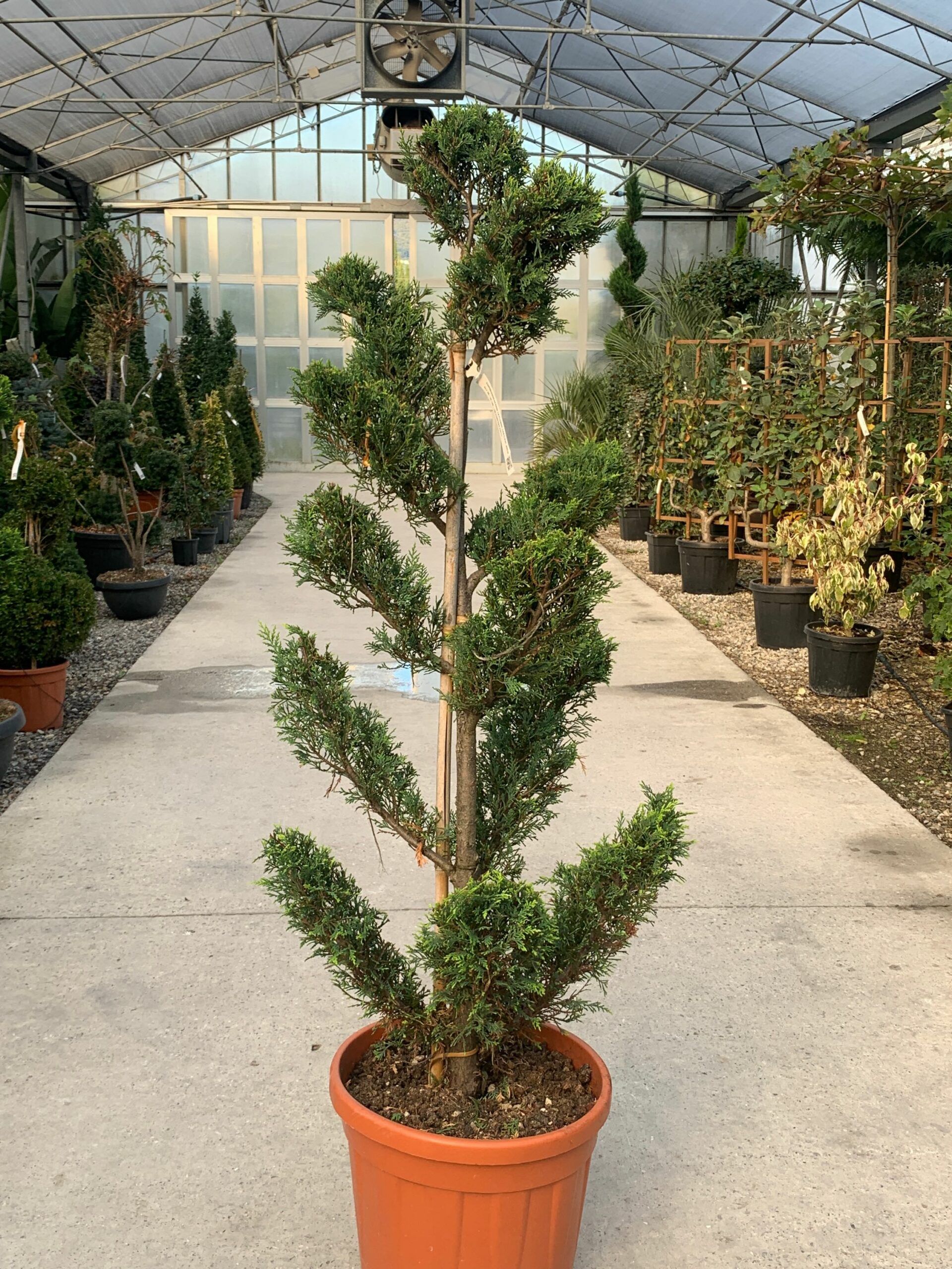 1637242914 scaled 37fb99bd