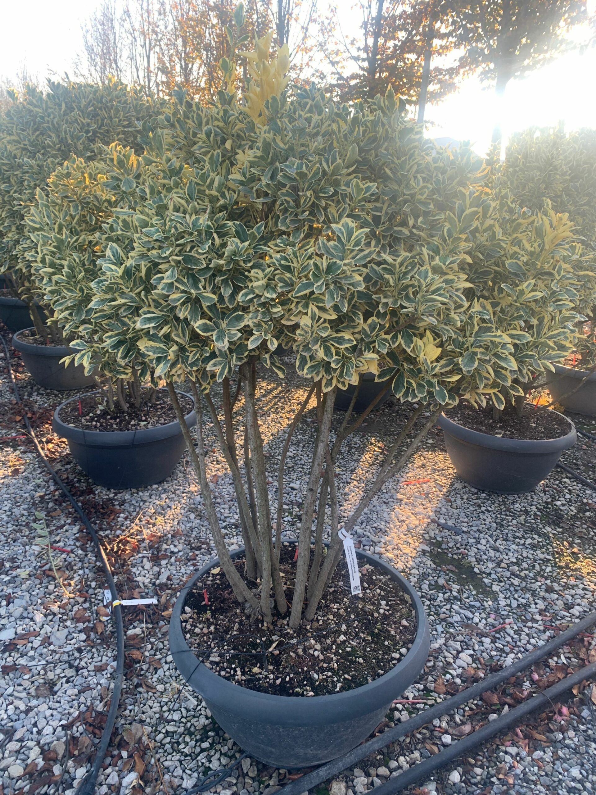 1637332428 scaled 37a4c747