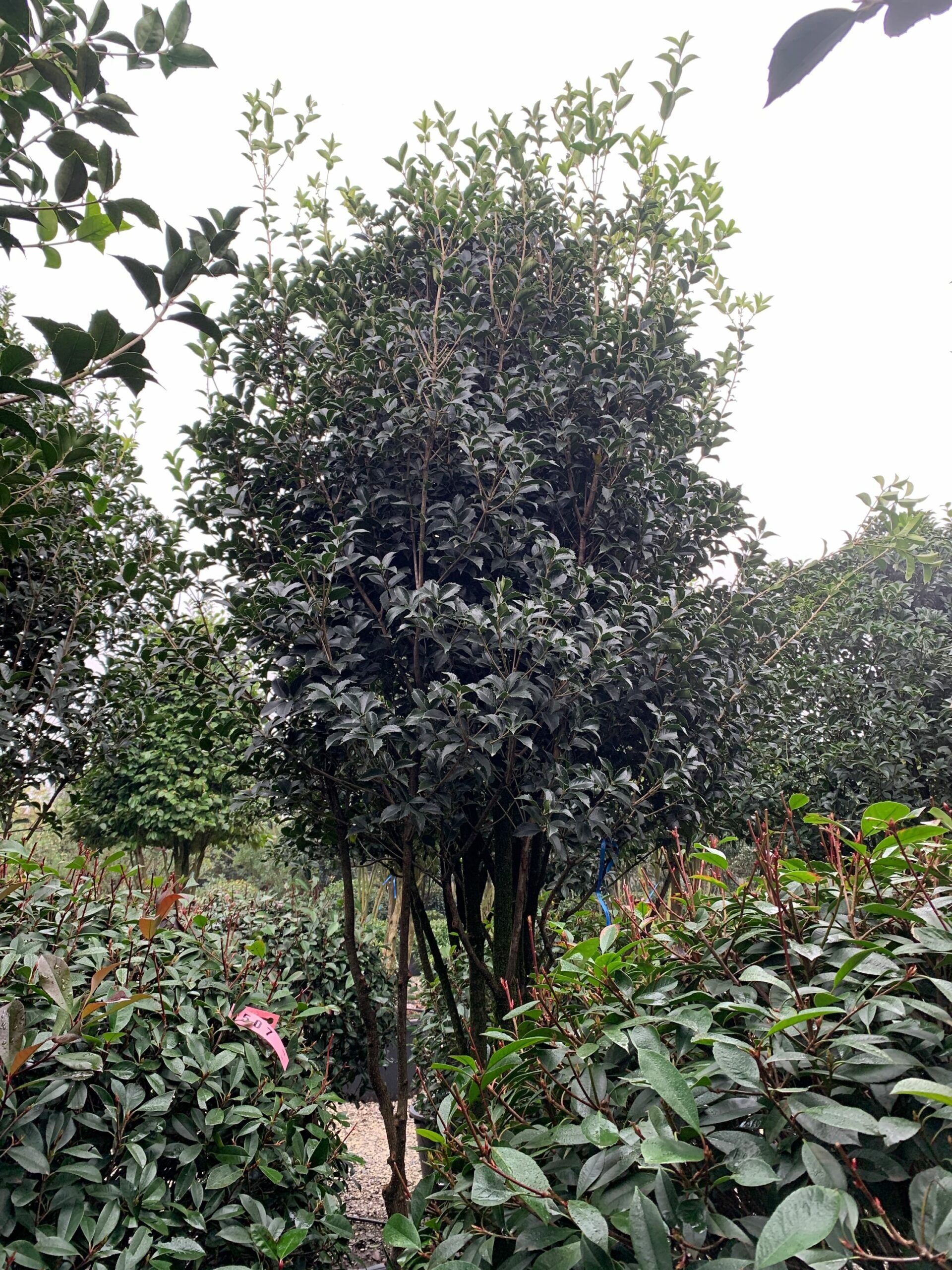 1641206322 scaled 37fbcaf8