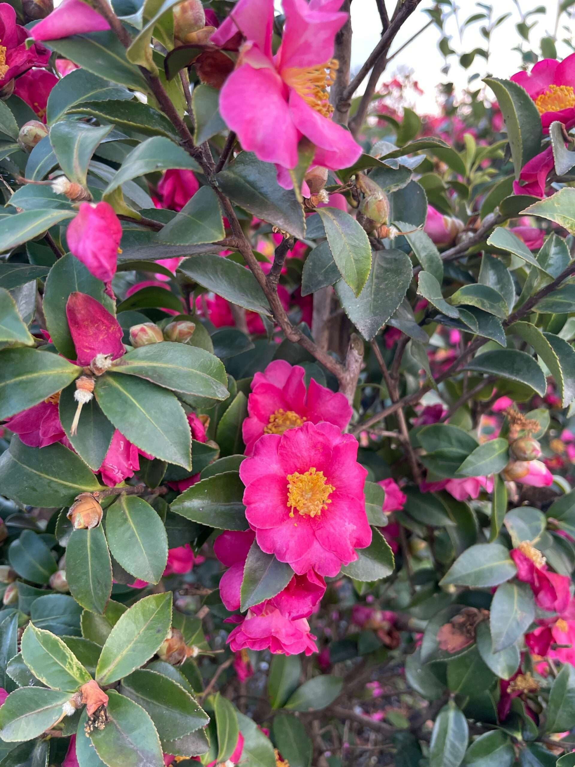 1642693130 scaled 3751f261