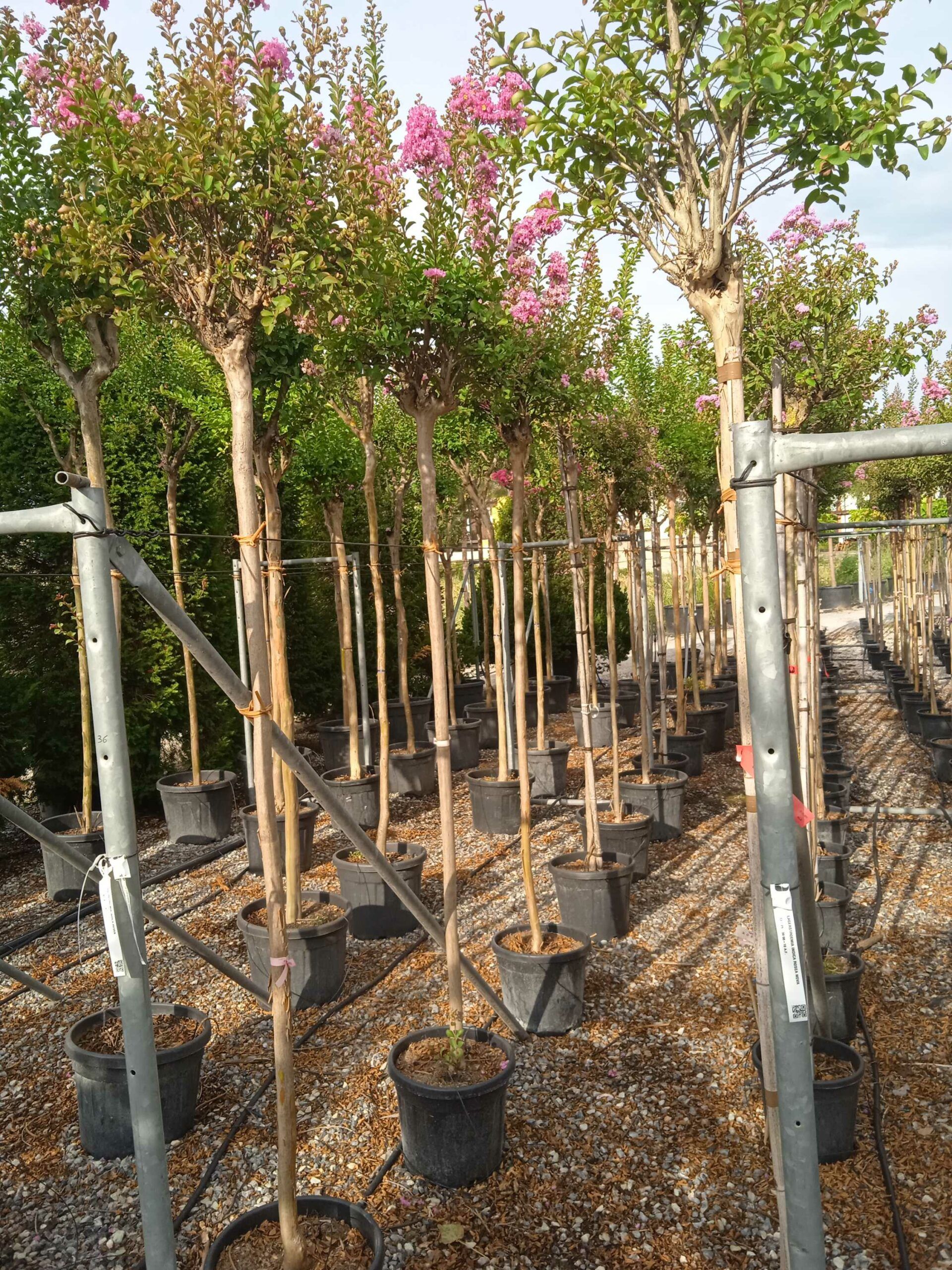 1662015668 scaled 37a67d44