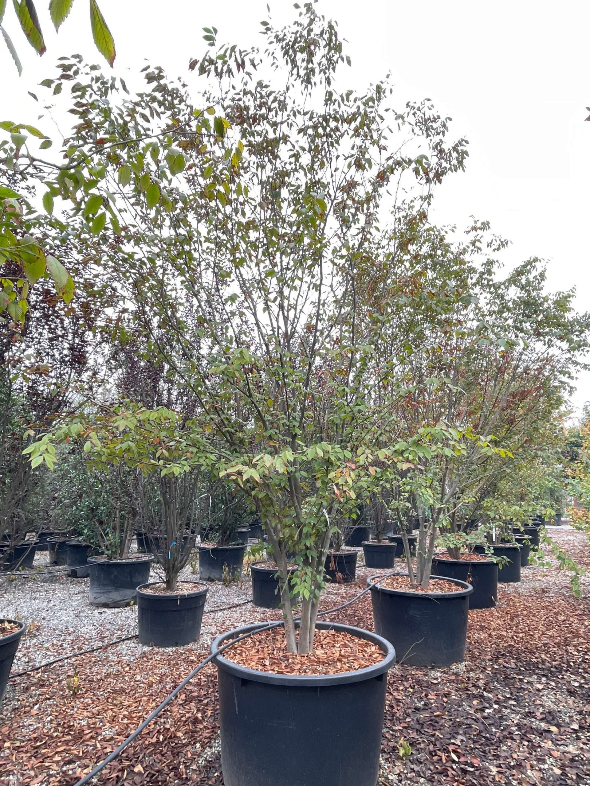 1666169996 scaled 37b3ce15