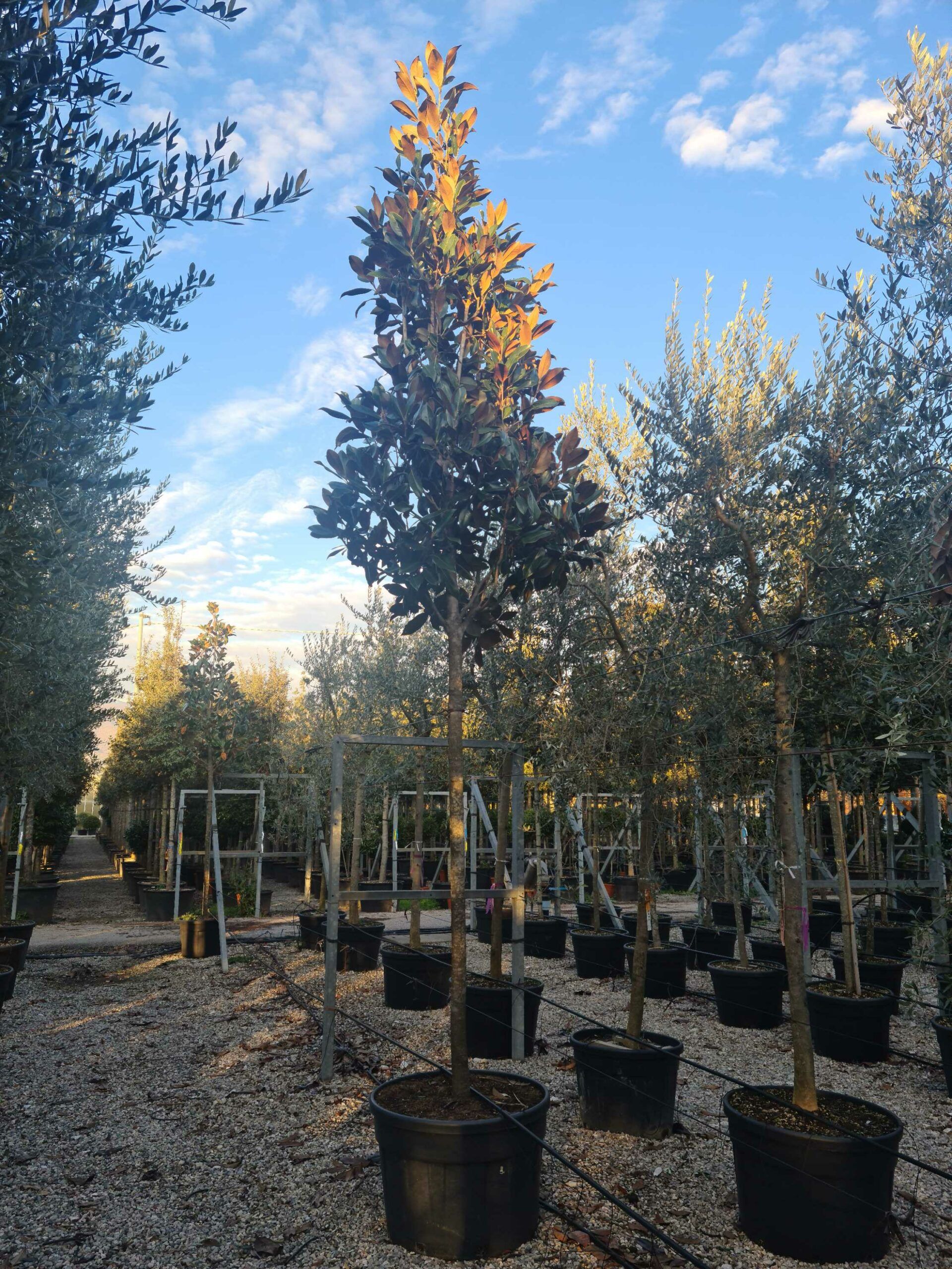 1639406802 scaled 383ef64f