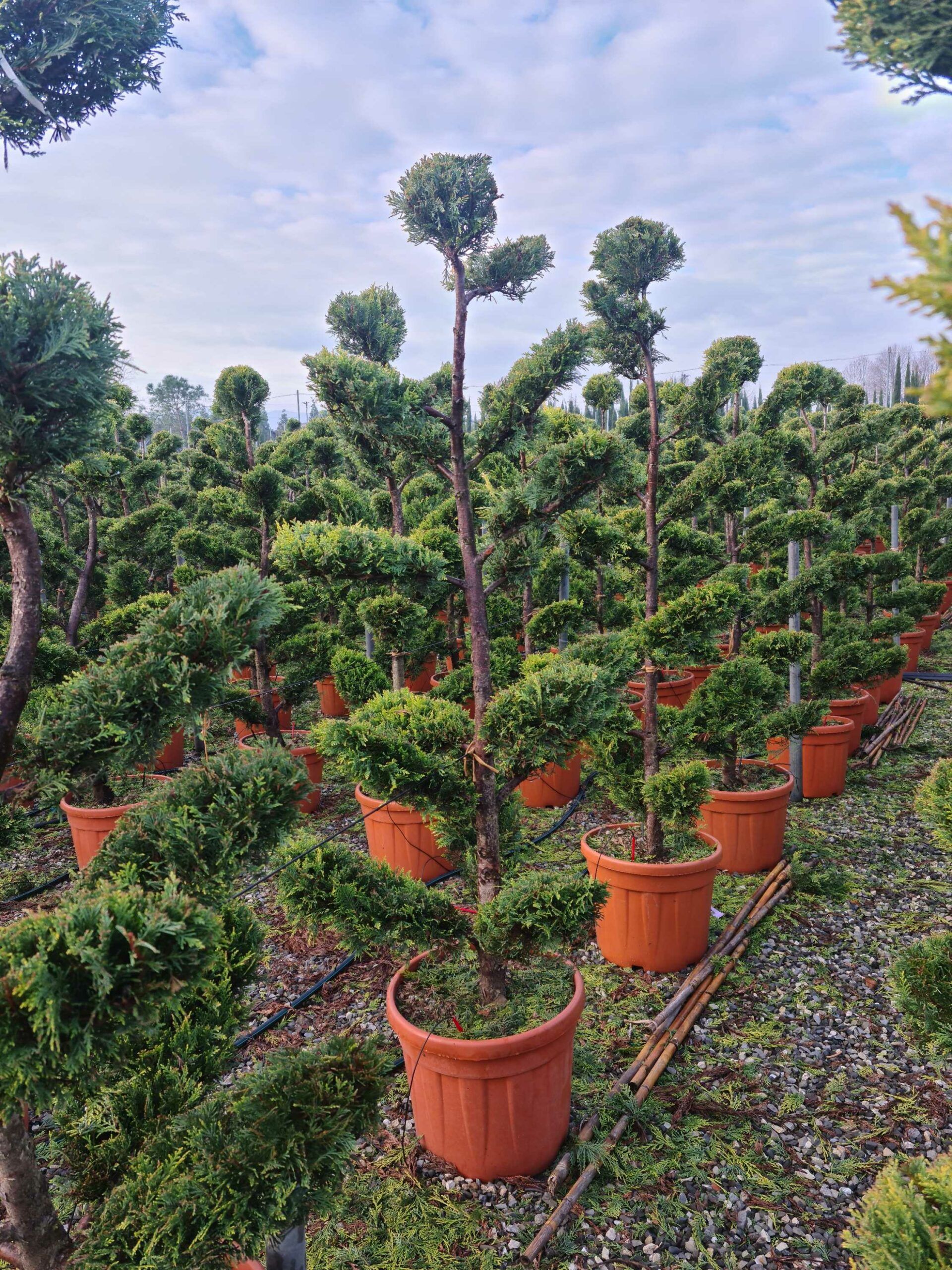 1640163525 scaled 38fda0a6