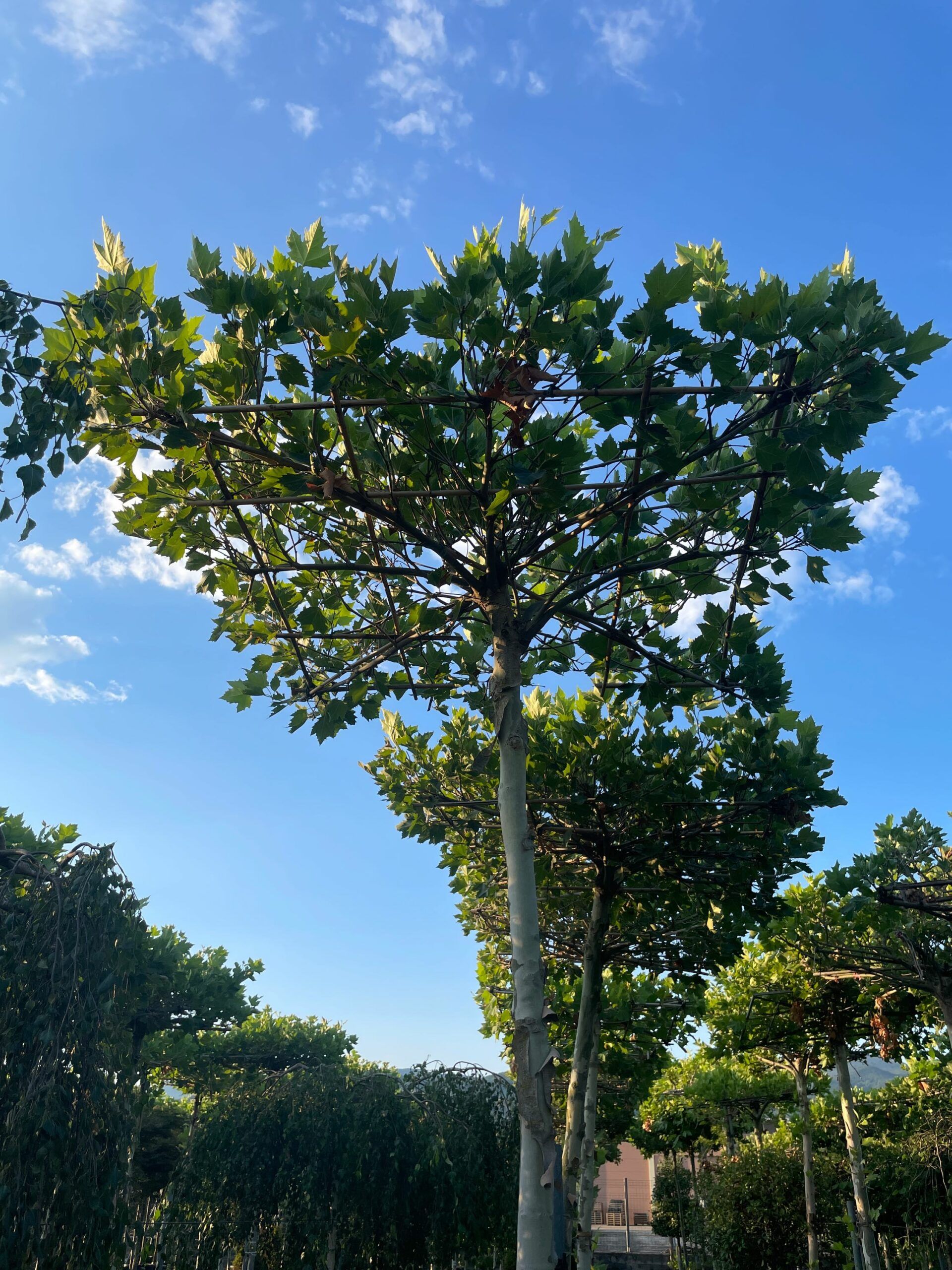 1659461649 scaled 38262ce3