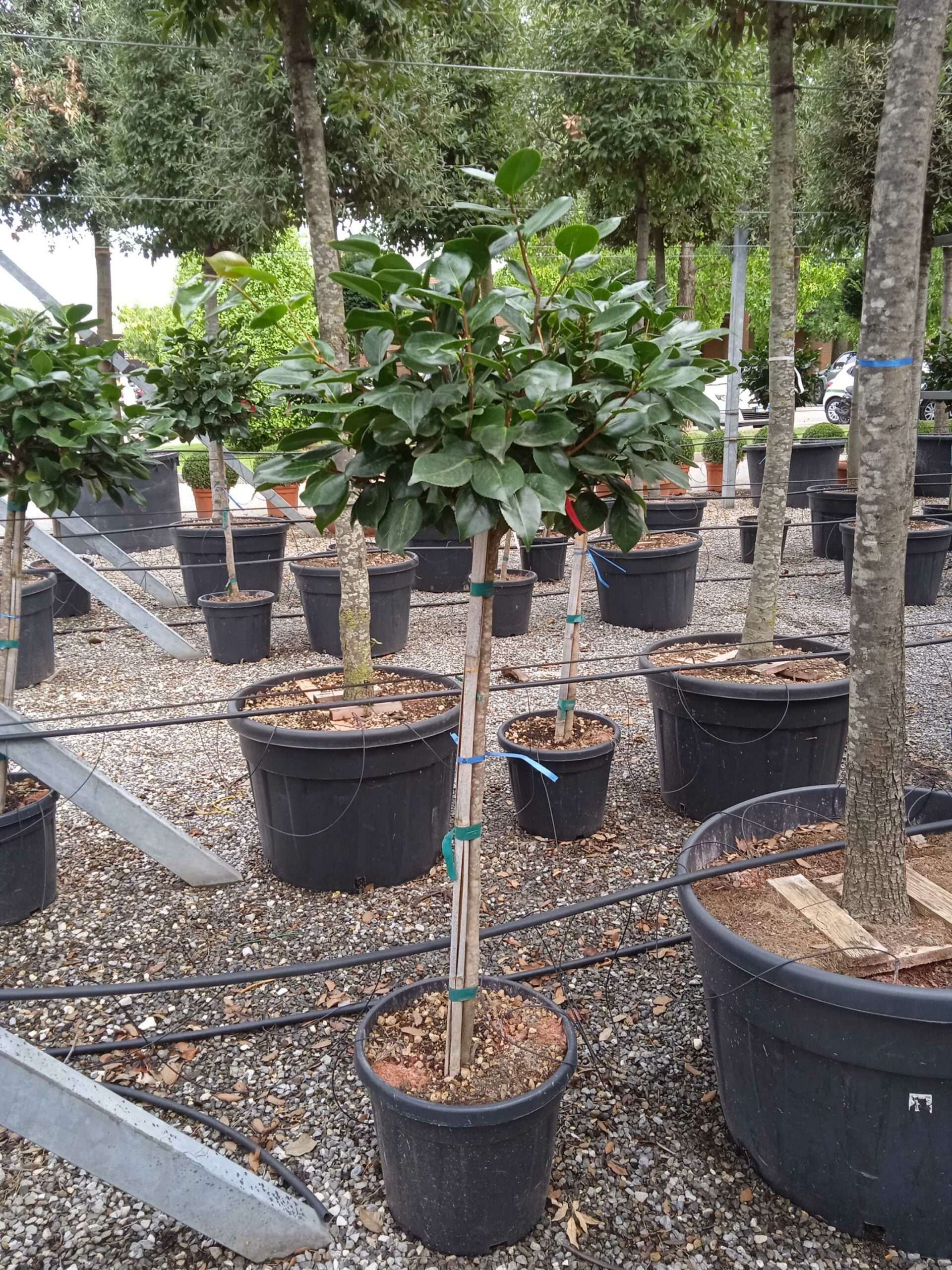 1661871601 scaled 389c7e1c