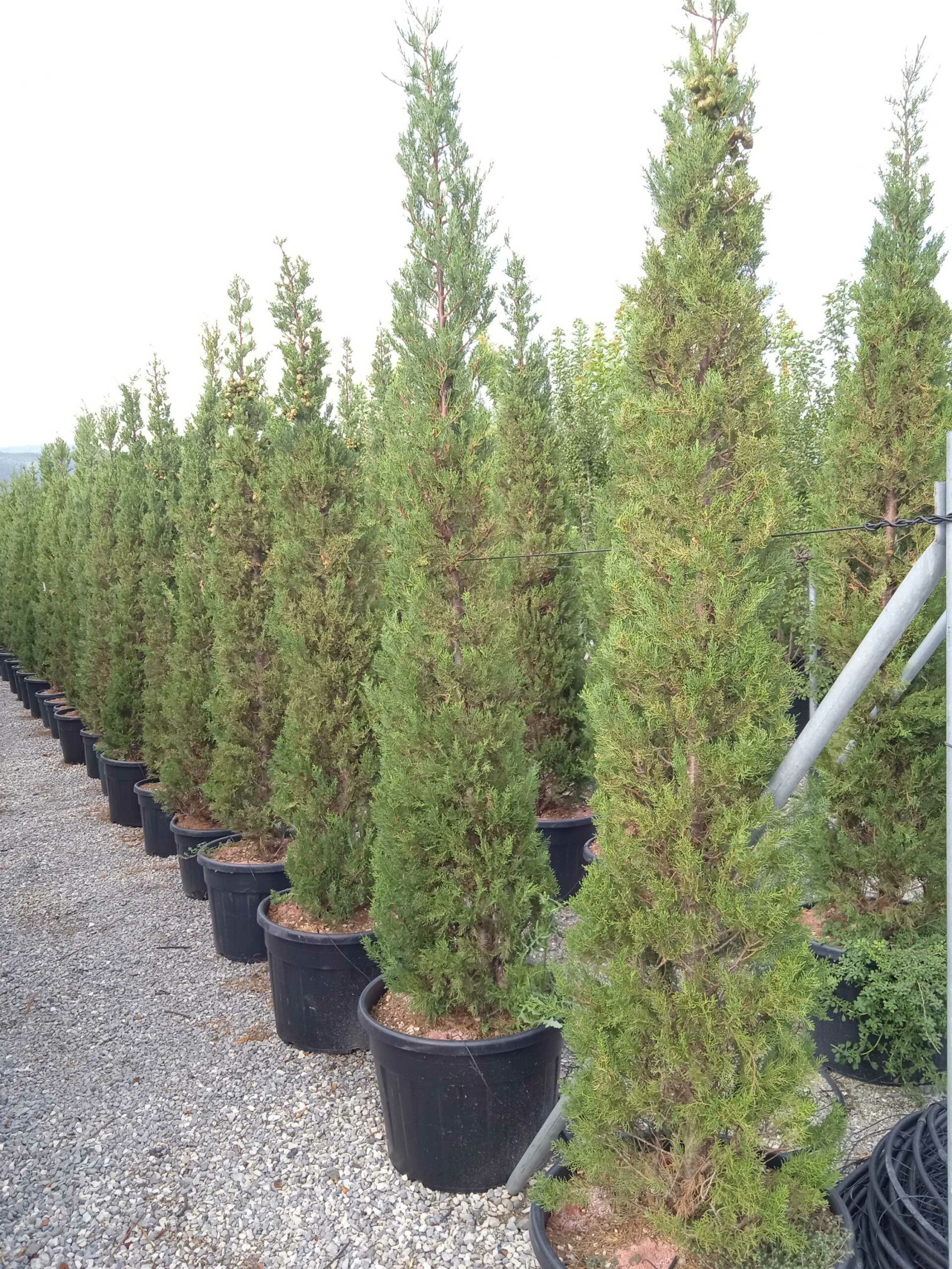 1661959125 scaled 382b7628