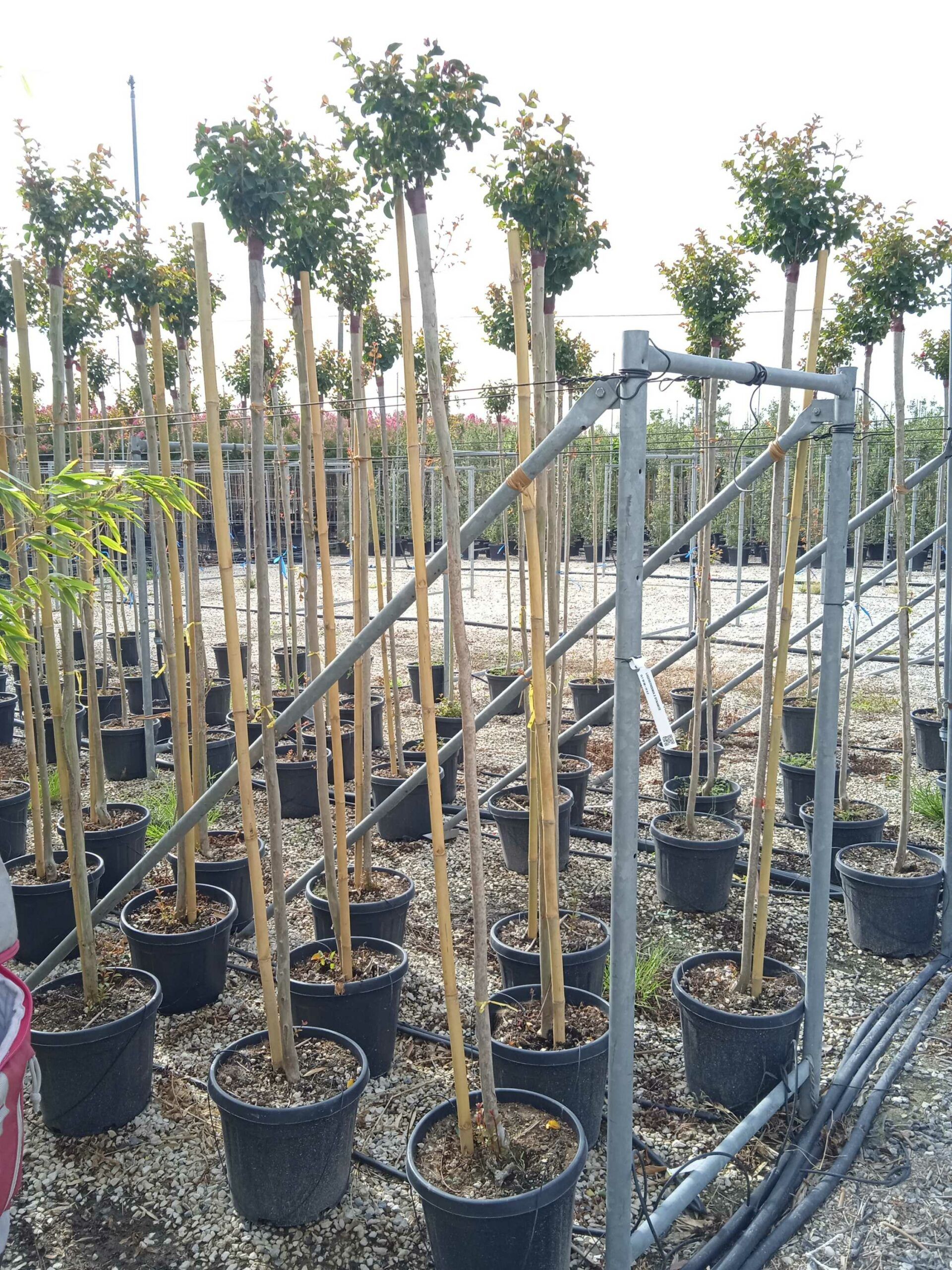 1662018332 scaled 38dd712b