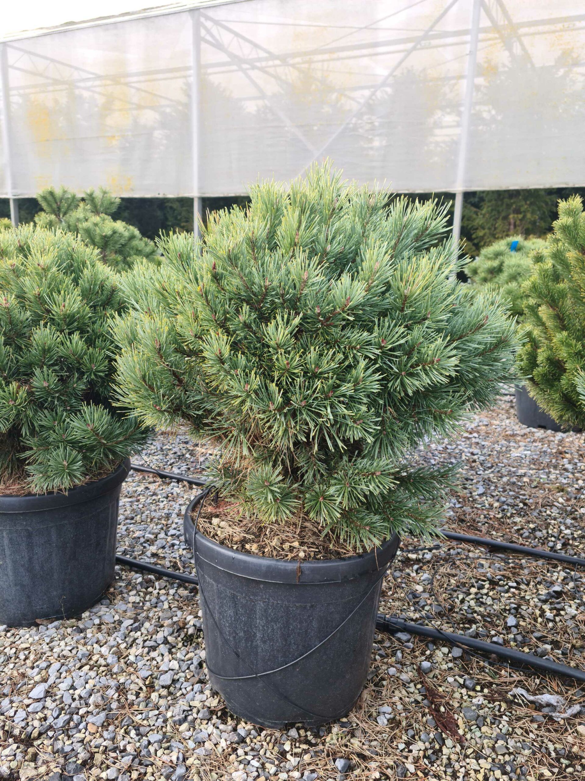 1676458965 scaled 38946af0