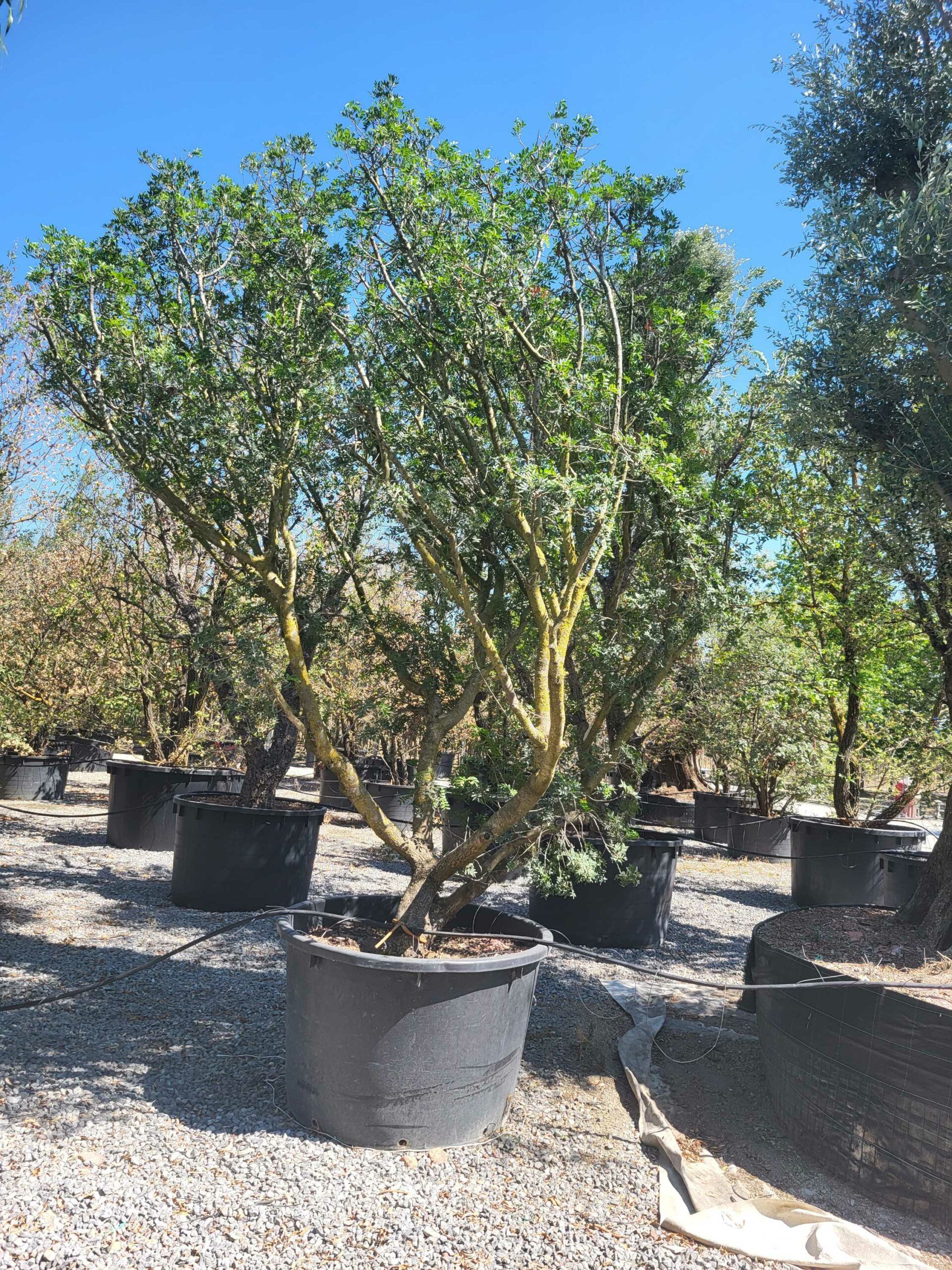 1692708674 scaled 38b4b2c1