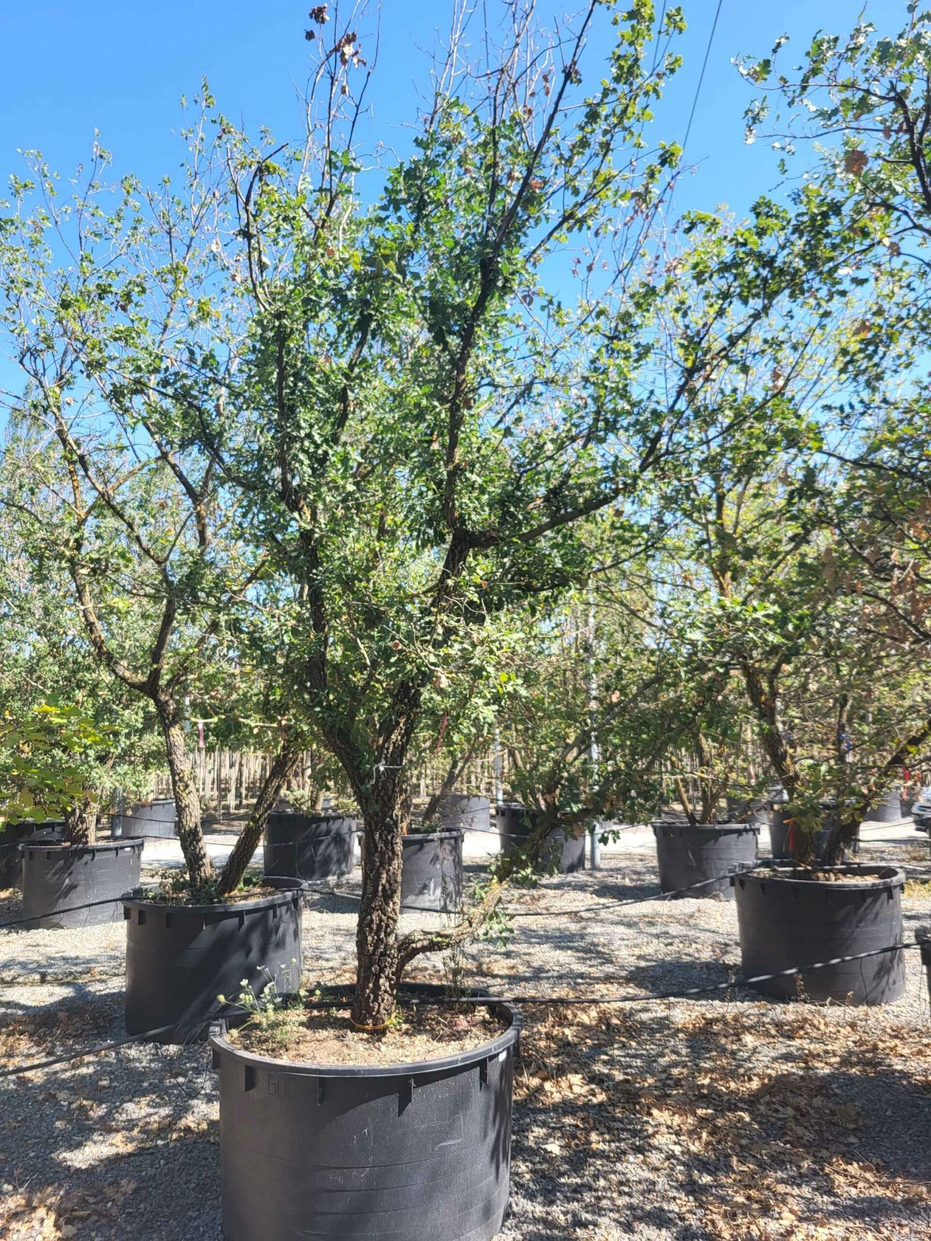 1692711515 scaled 38f443bc