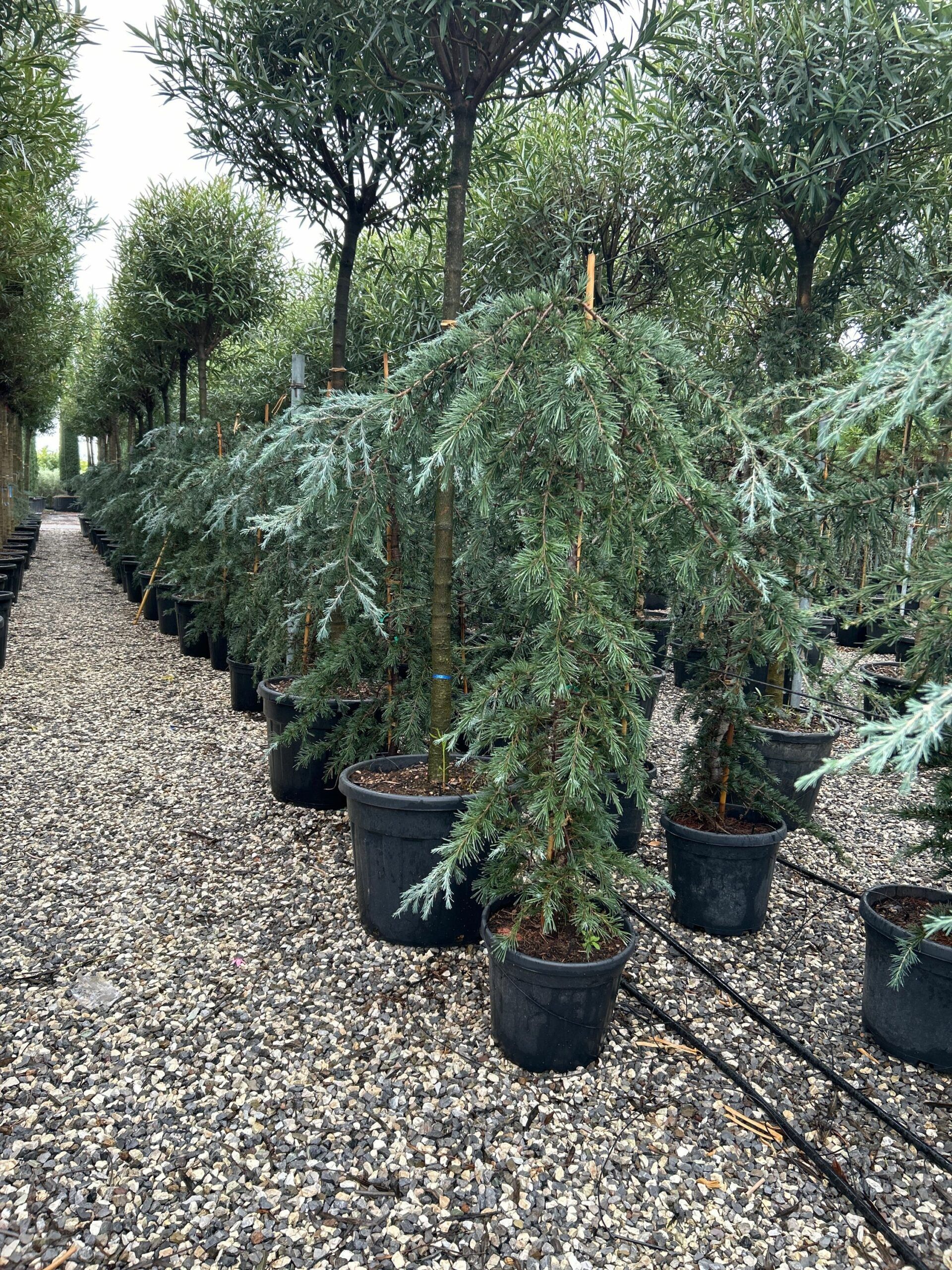 1698157537 scaled 381818b3