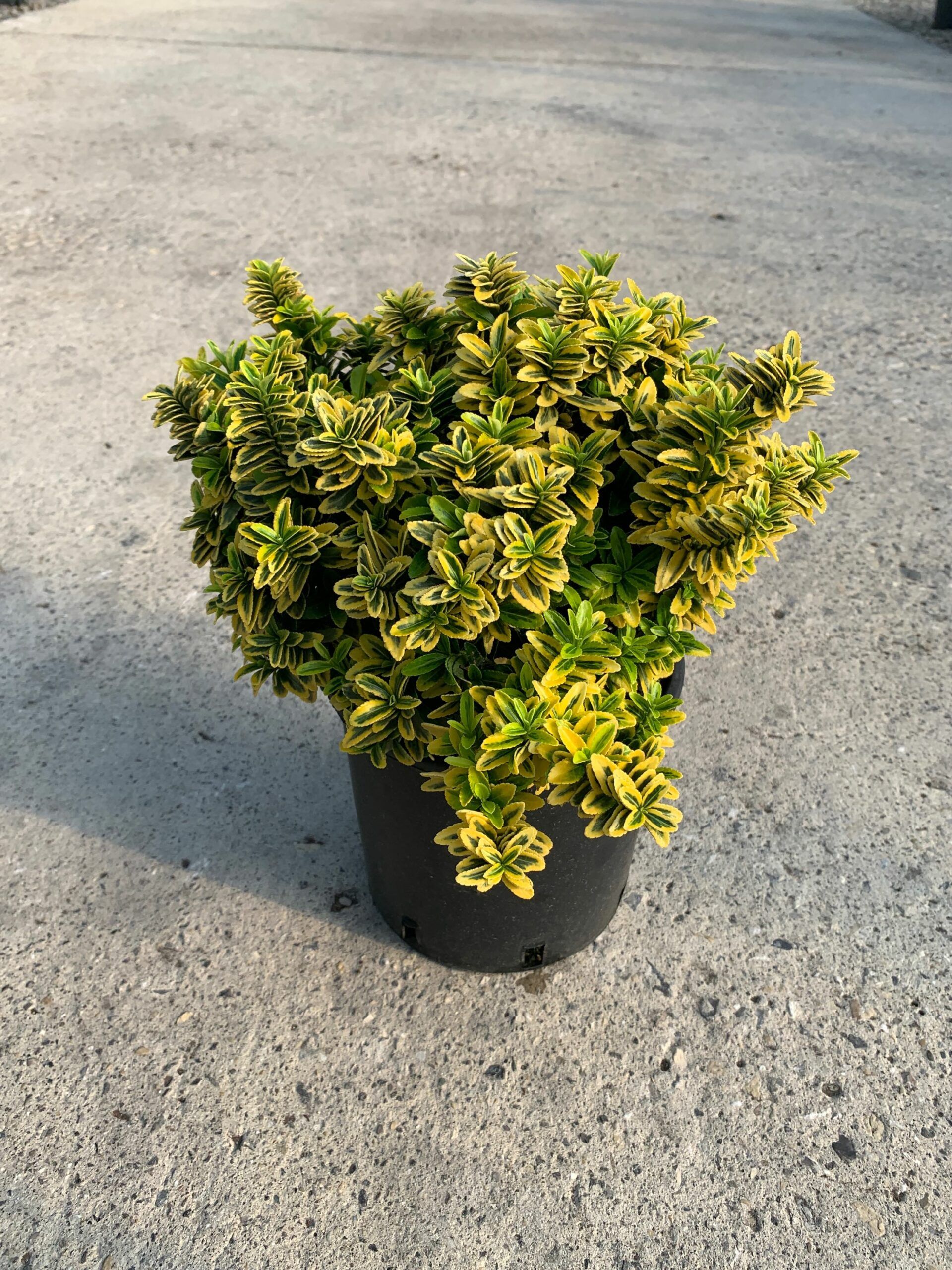 1632814992 scaled 391ab23c