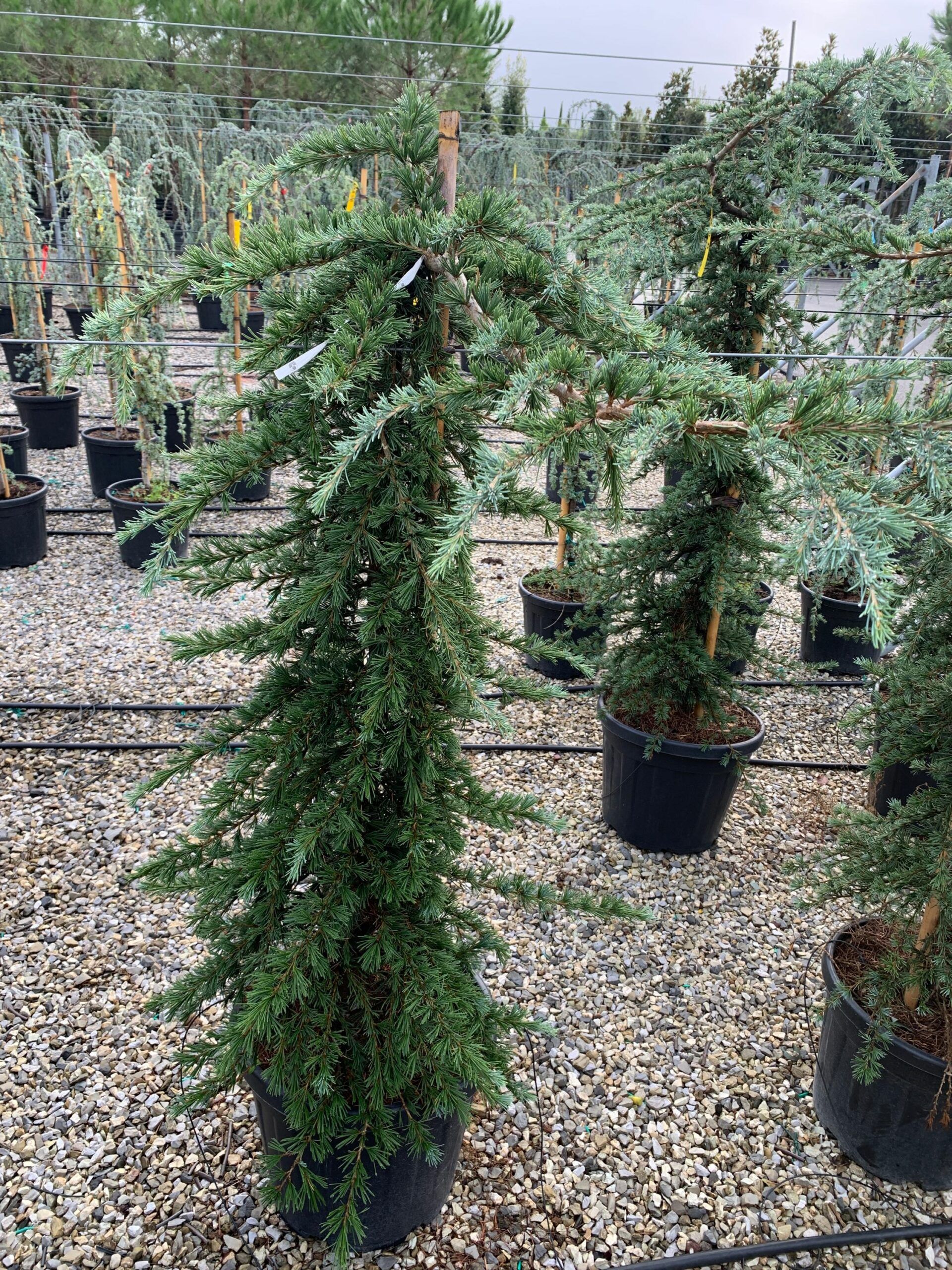 1633418208 scaled 3925f7c6