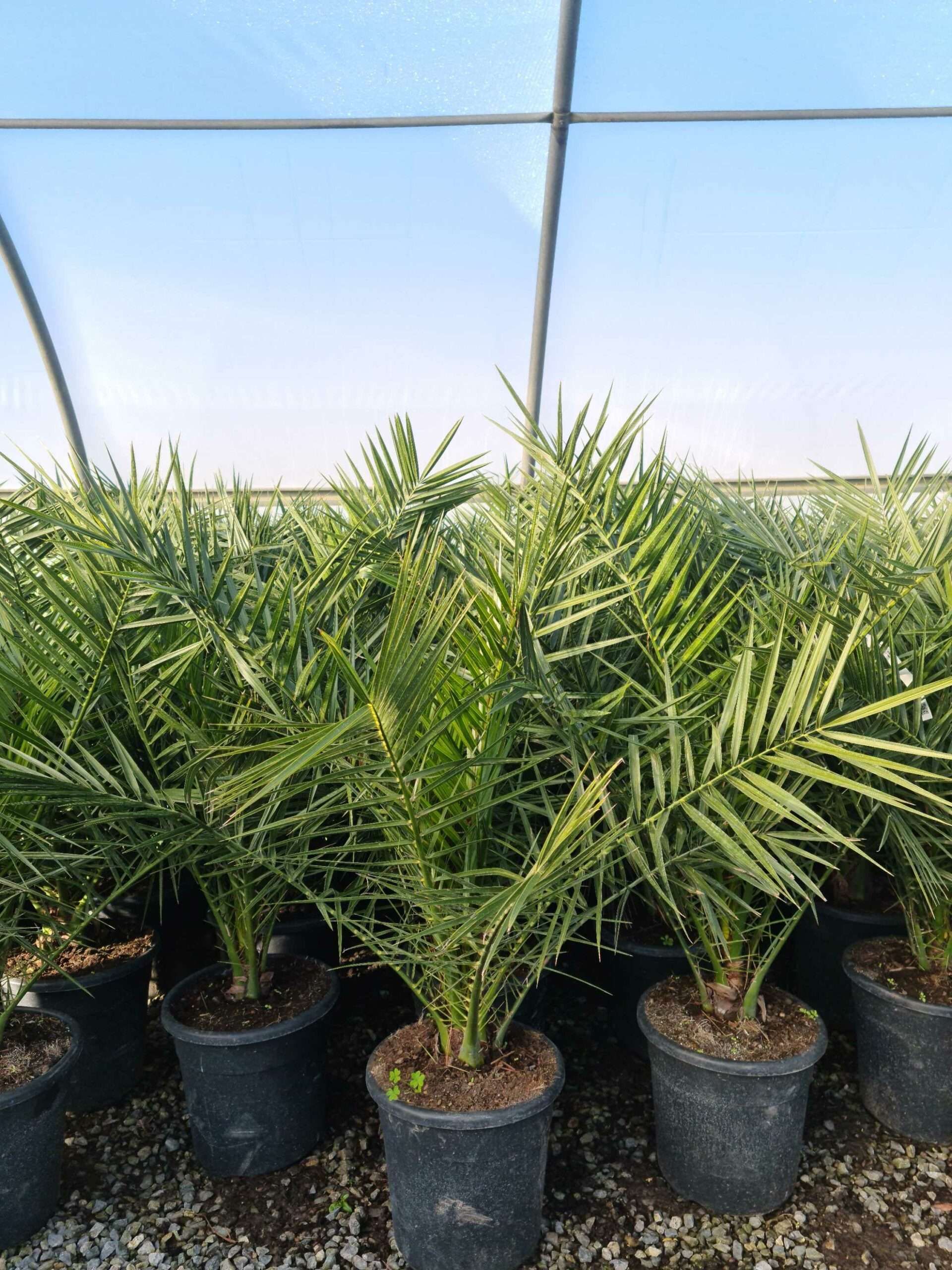 1639644463 scaled 399e6c50