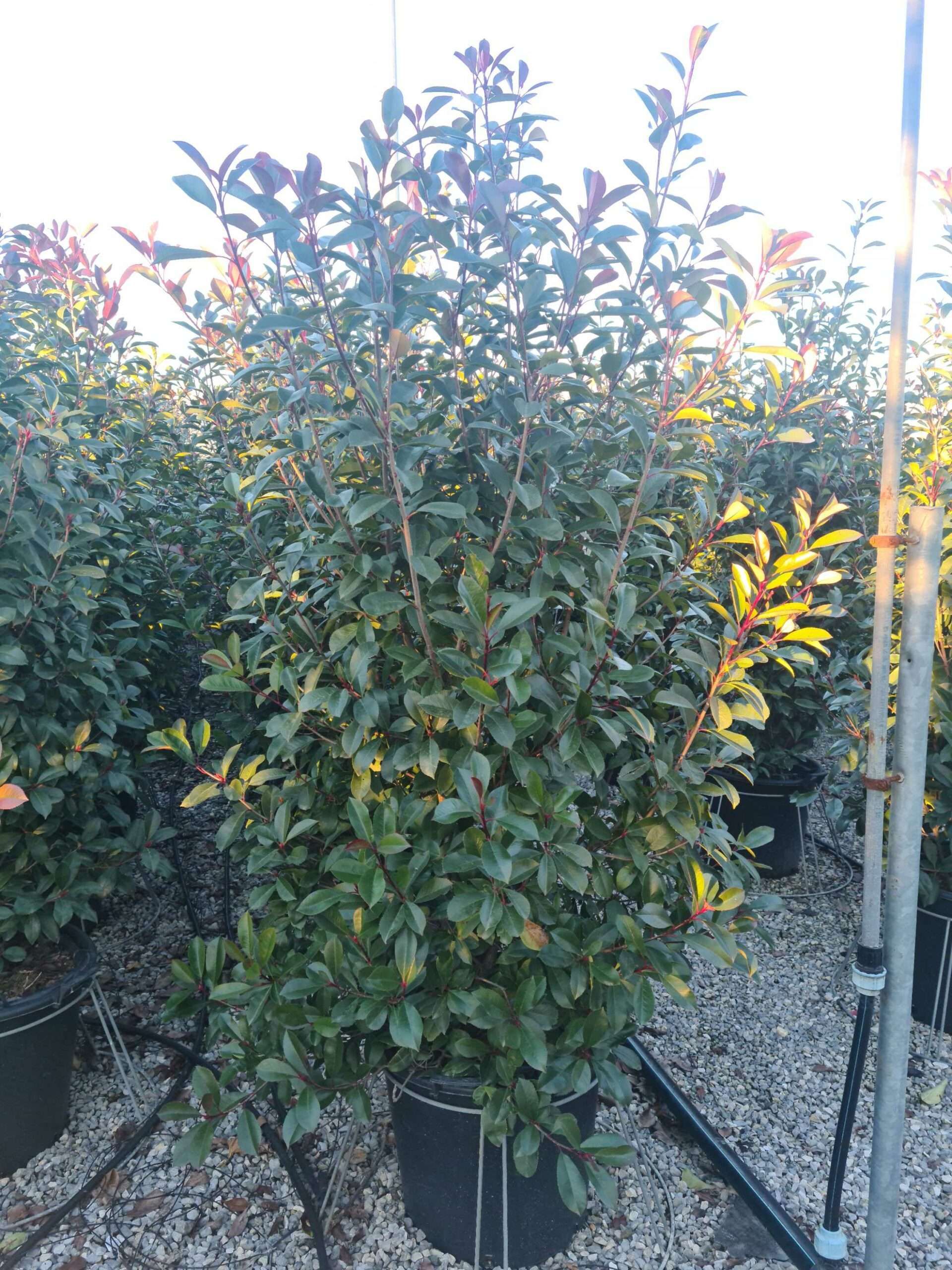 1639667195 scaled 3941cf06