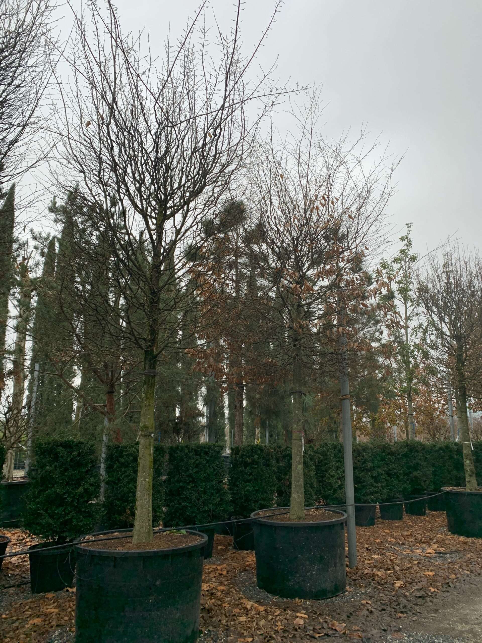 1641208422 scaled 39876f10