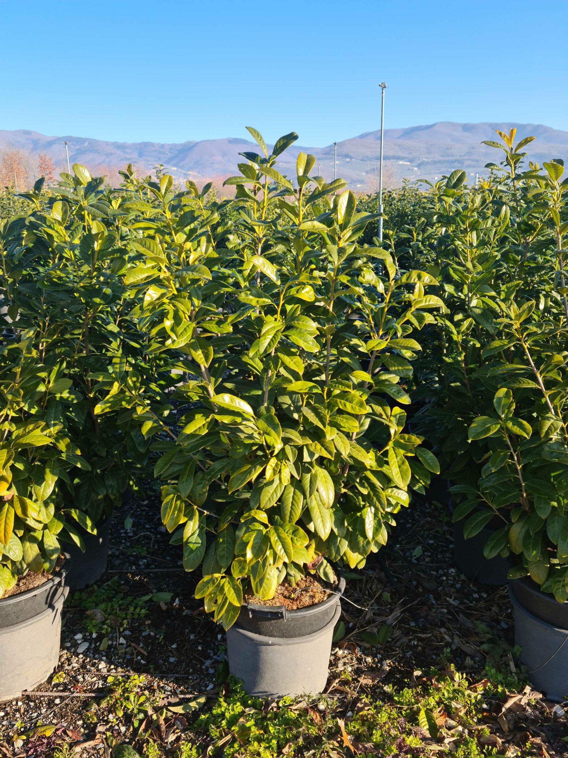 1642840689 scaled 390c0598