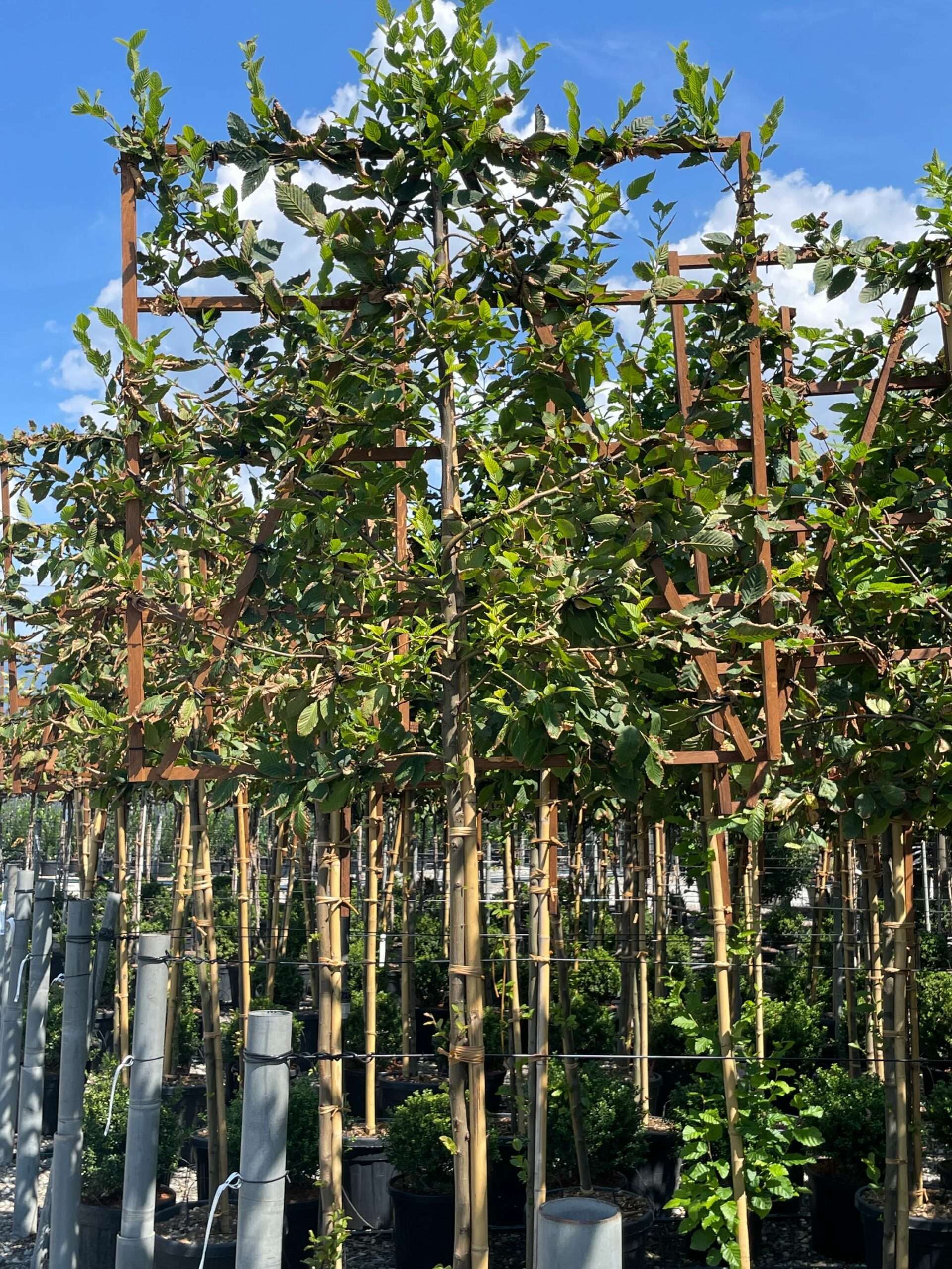 1661508870 scaled 39122002