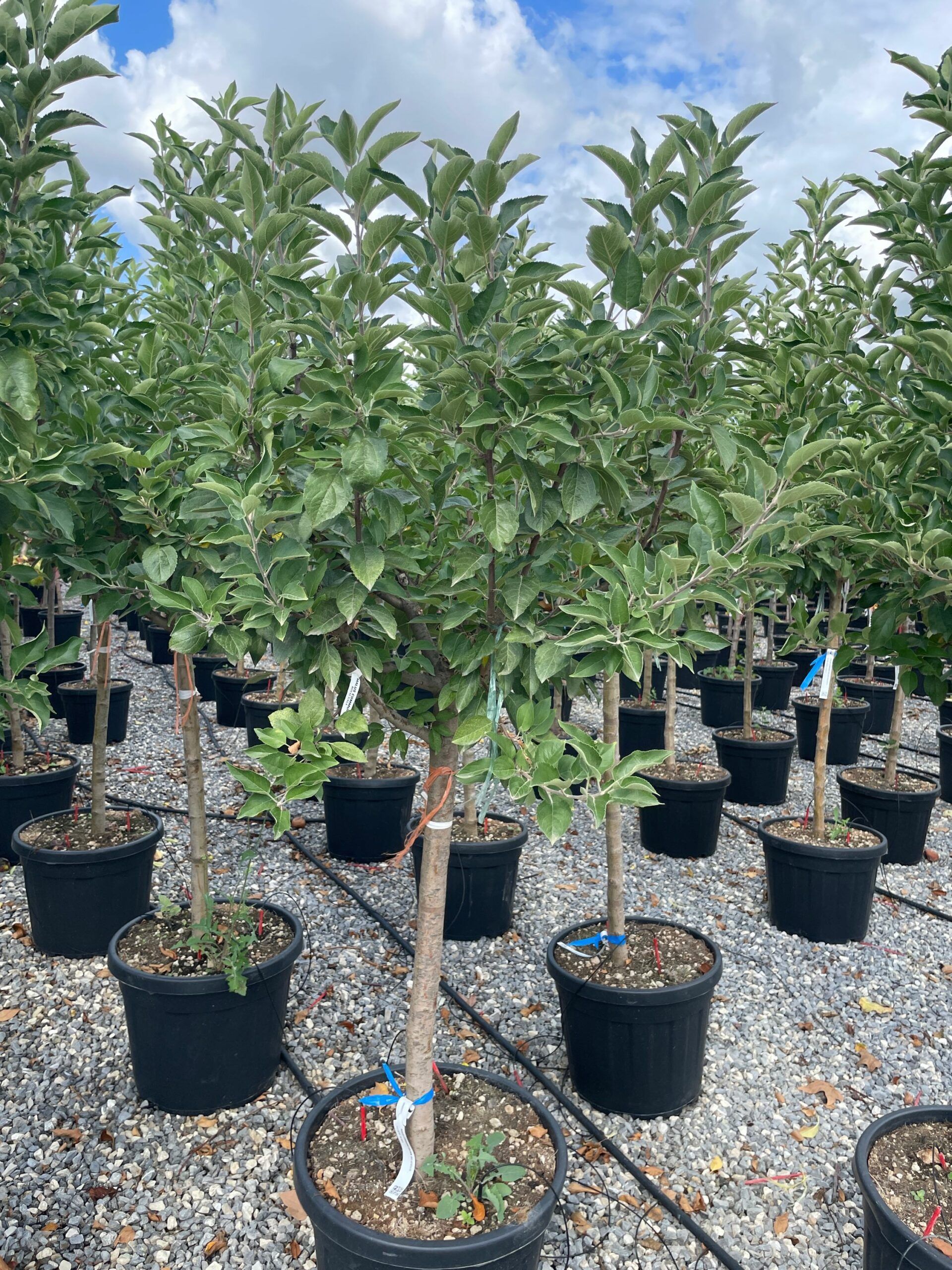 1662714343 scaled 39612f8f