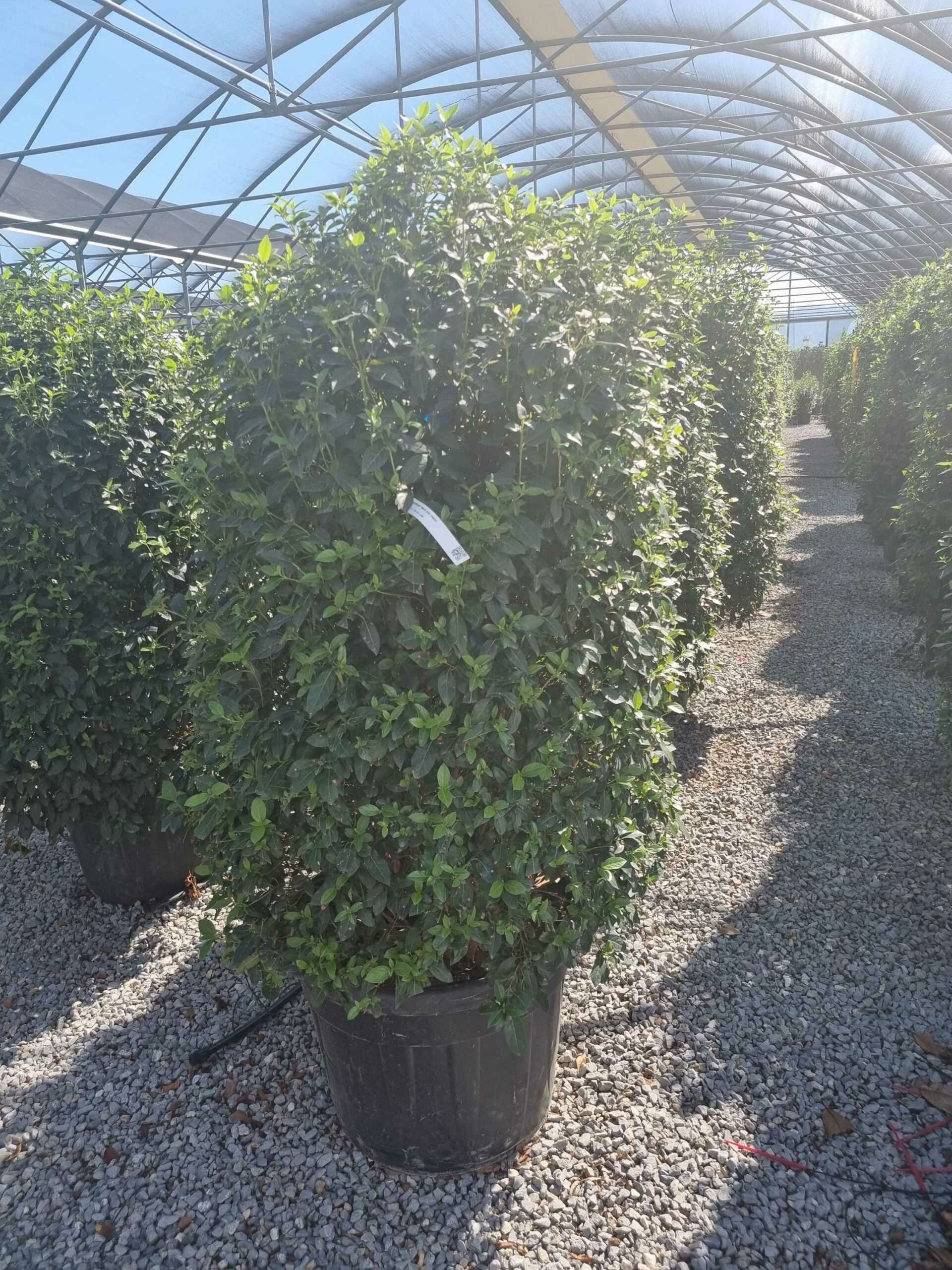 1663589497 scaled 394f2dd4