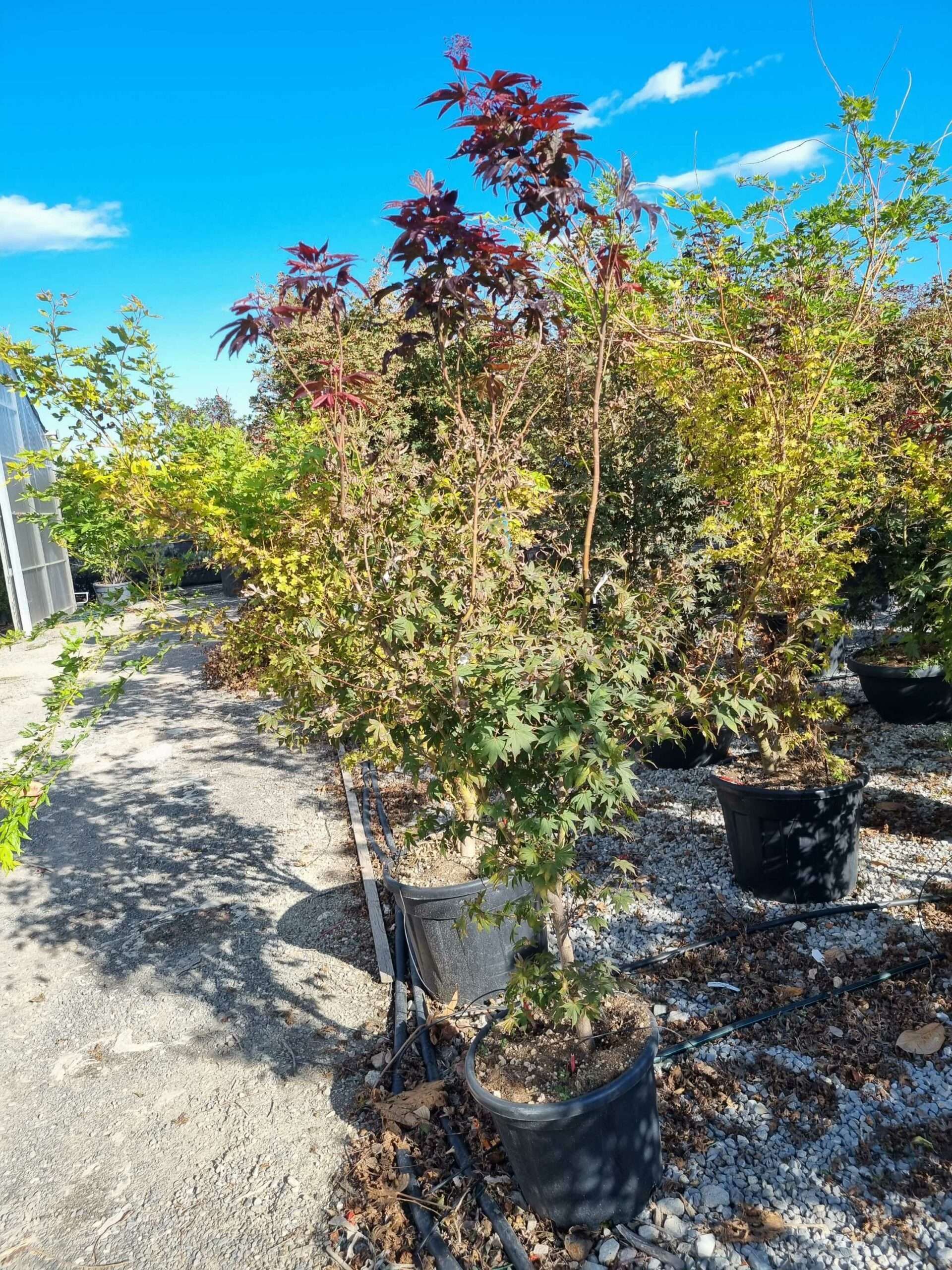 1663770944 scaled 3990542b