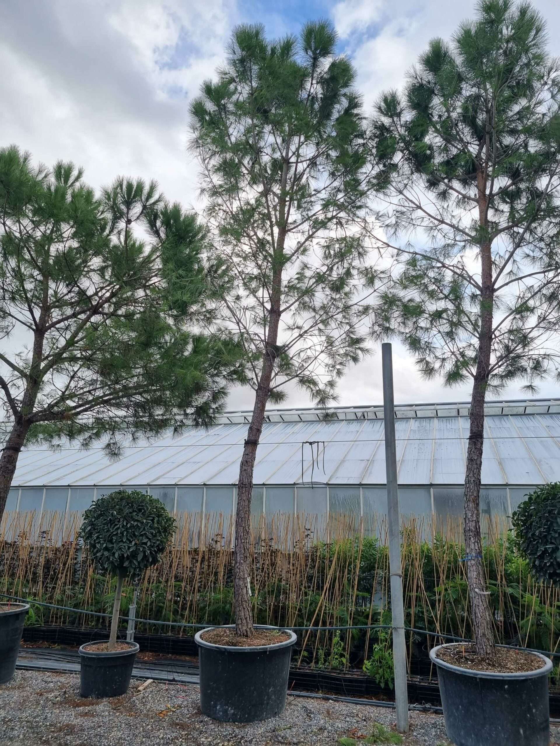 1664445650 scaled 396184b7