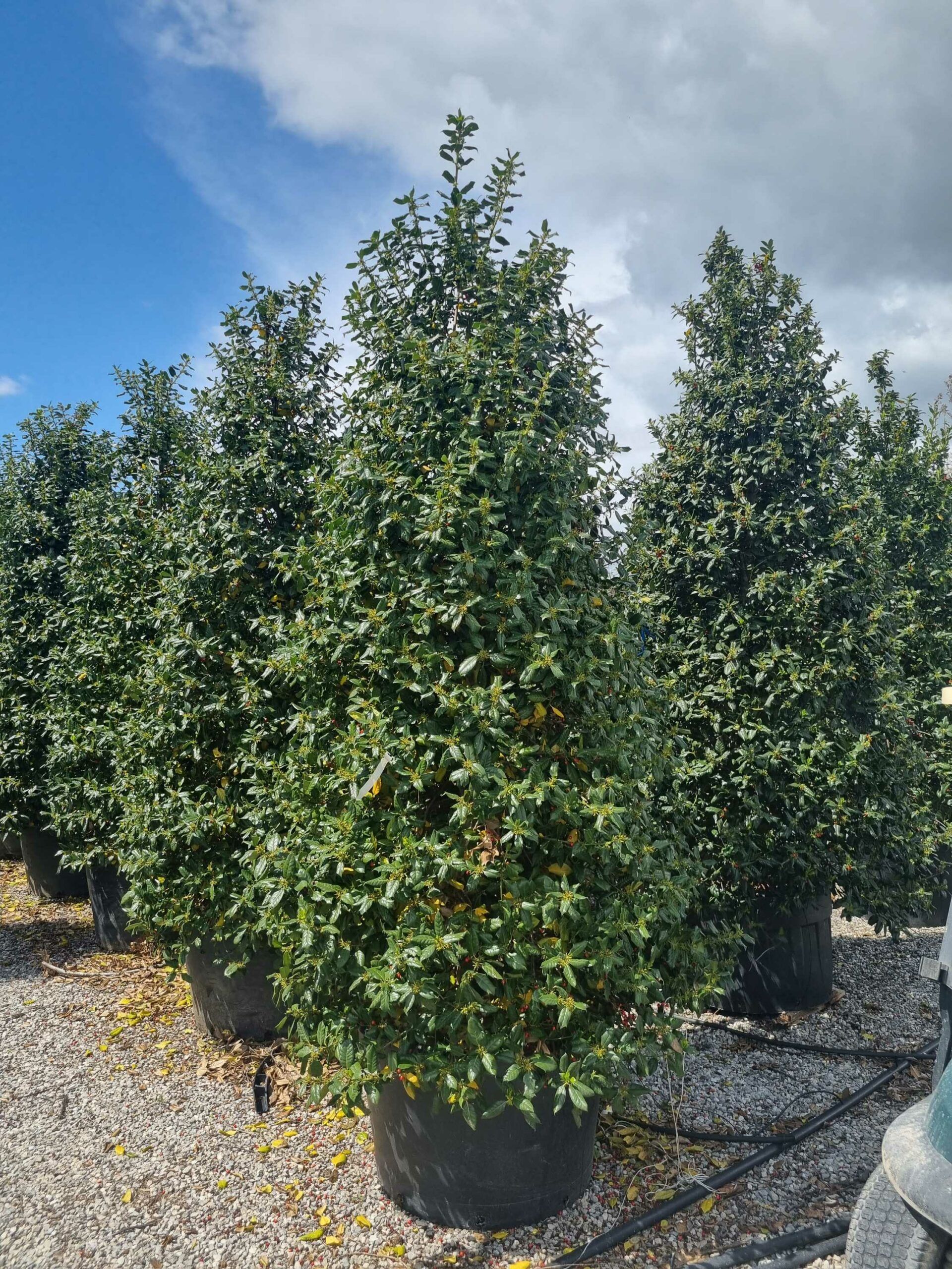 1682338499 scaled 3912d57d