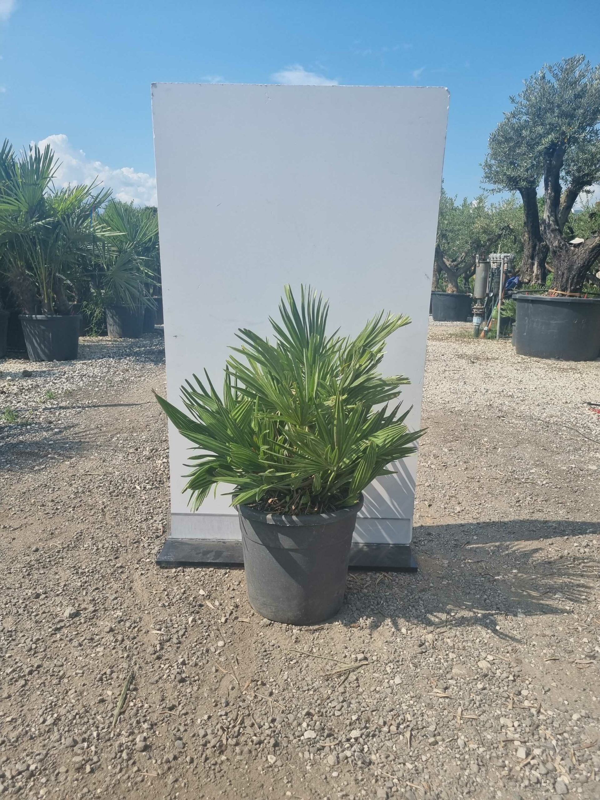 1685456521 scaled 391d76ec