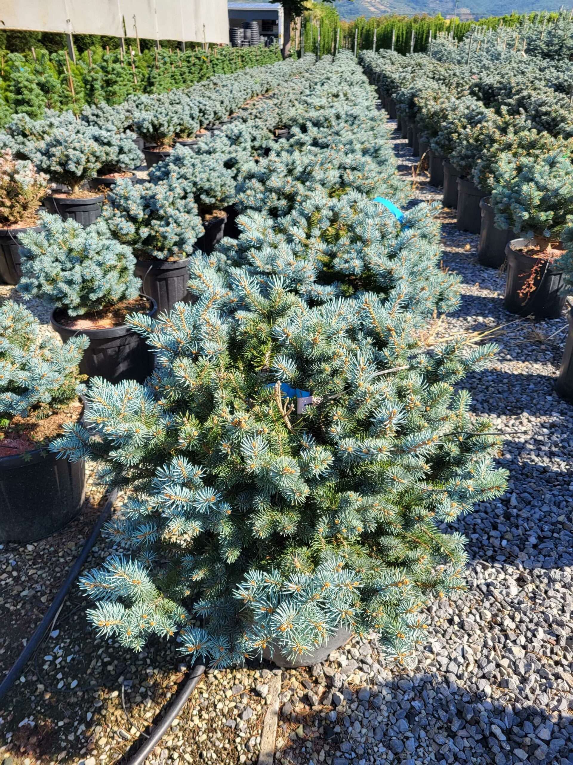 1691653240 scaled 39e2b1bf