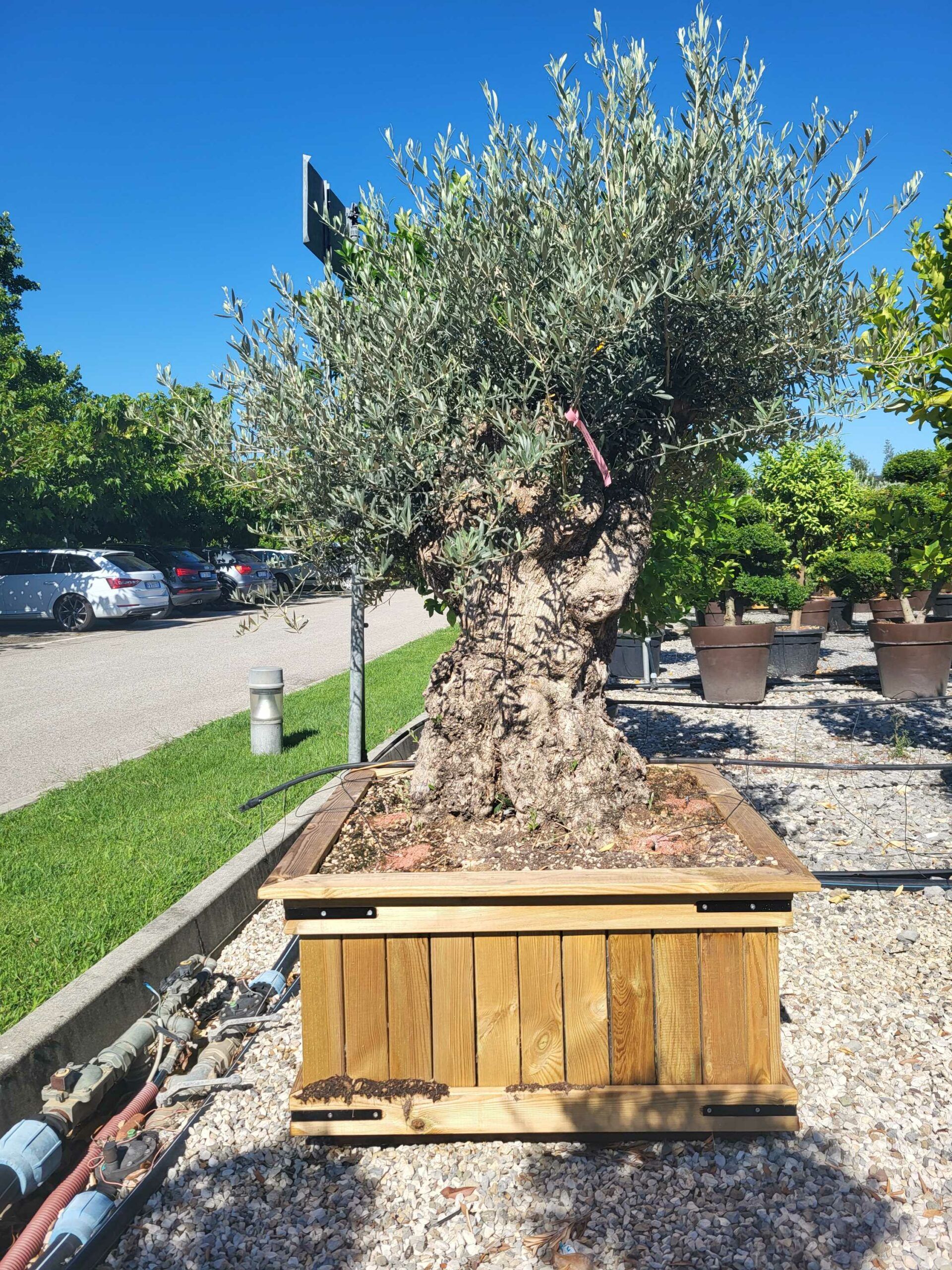 1691655426 scaled 394f7c92