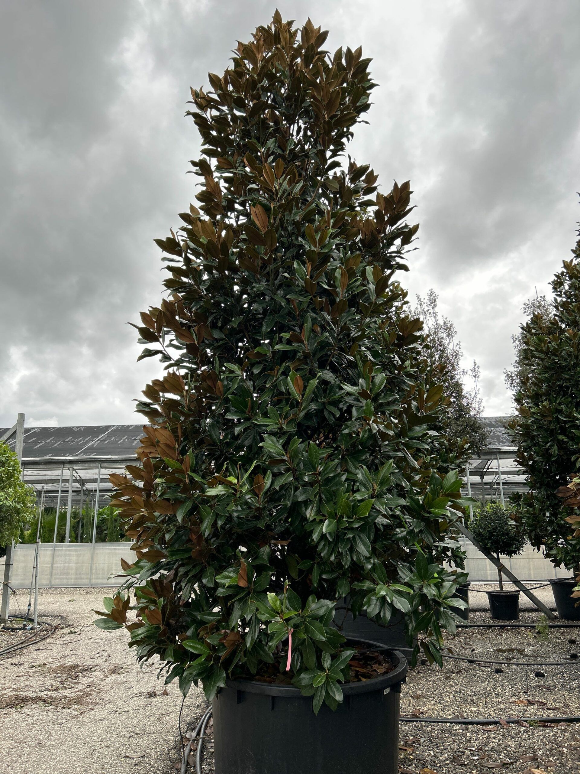 1698307578 scaled 39122b73