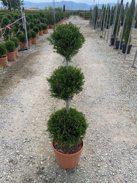 1624377610 2001 3a4de356