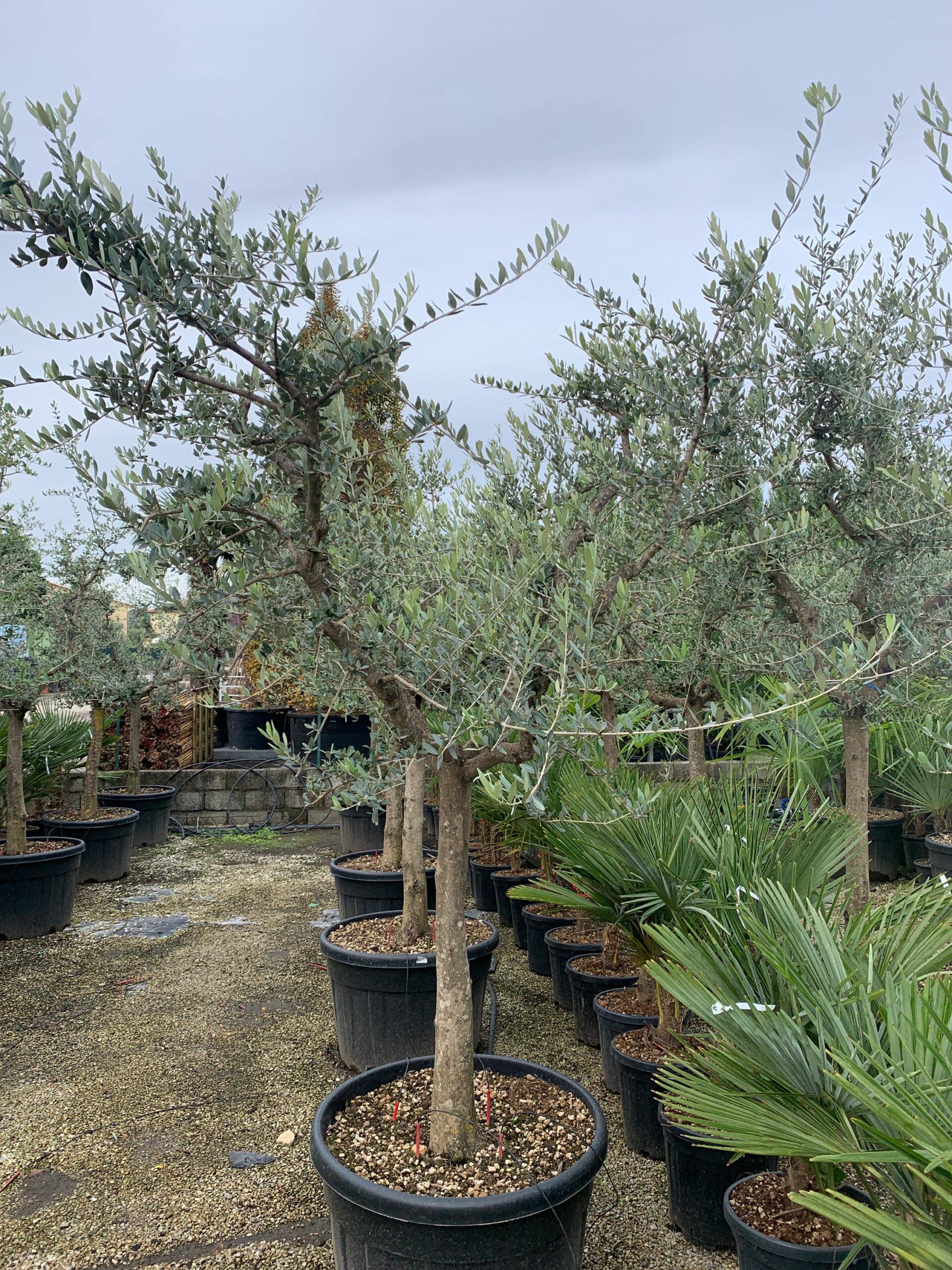 1636103476 scaled 3a757f98