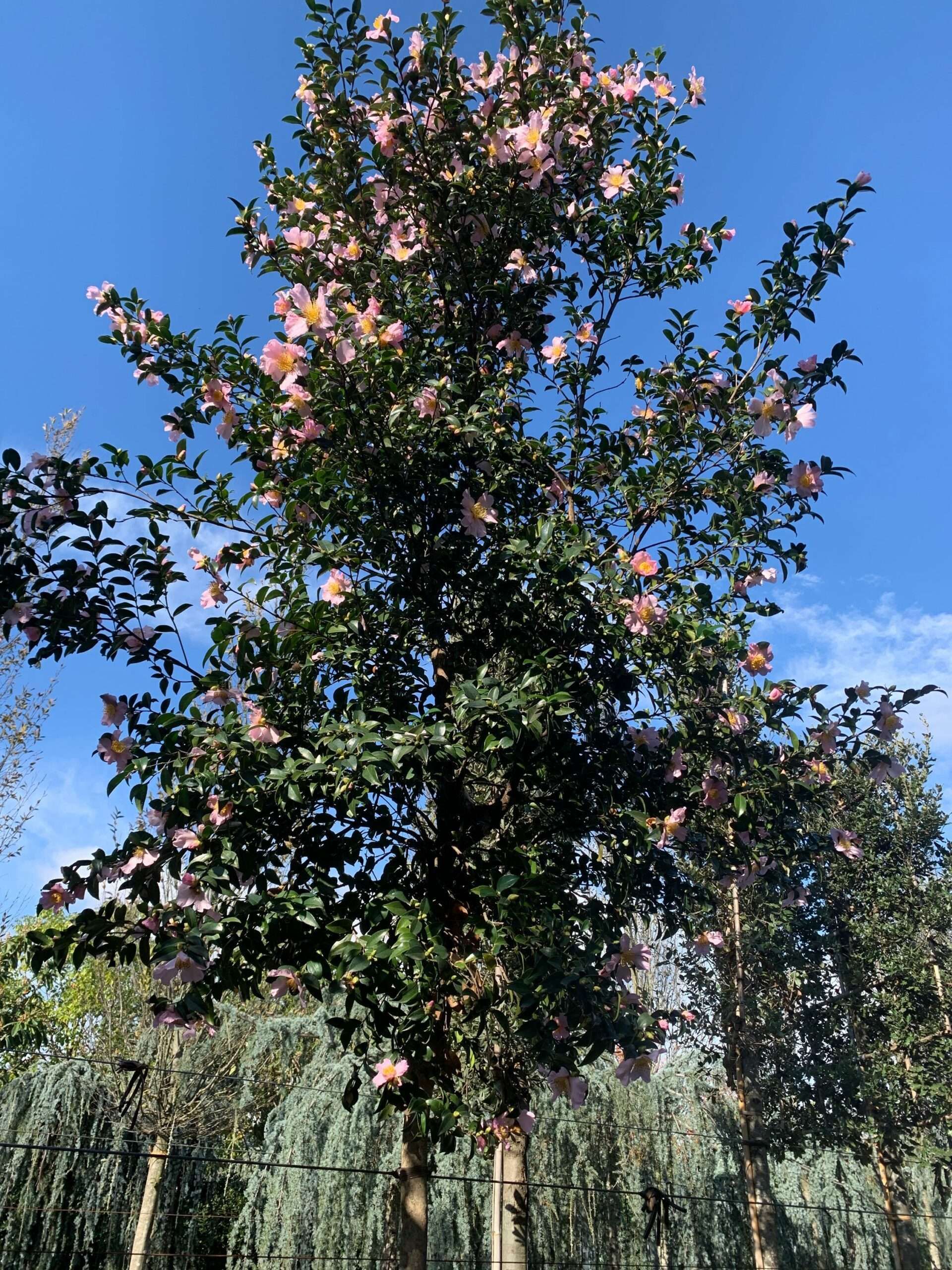 1636368695 scaled 3a4cf8e1