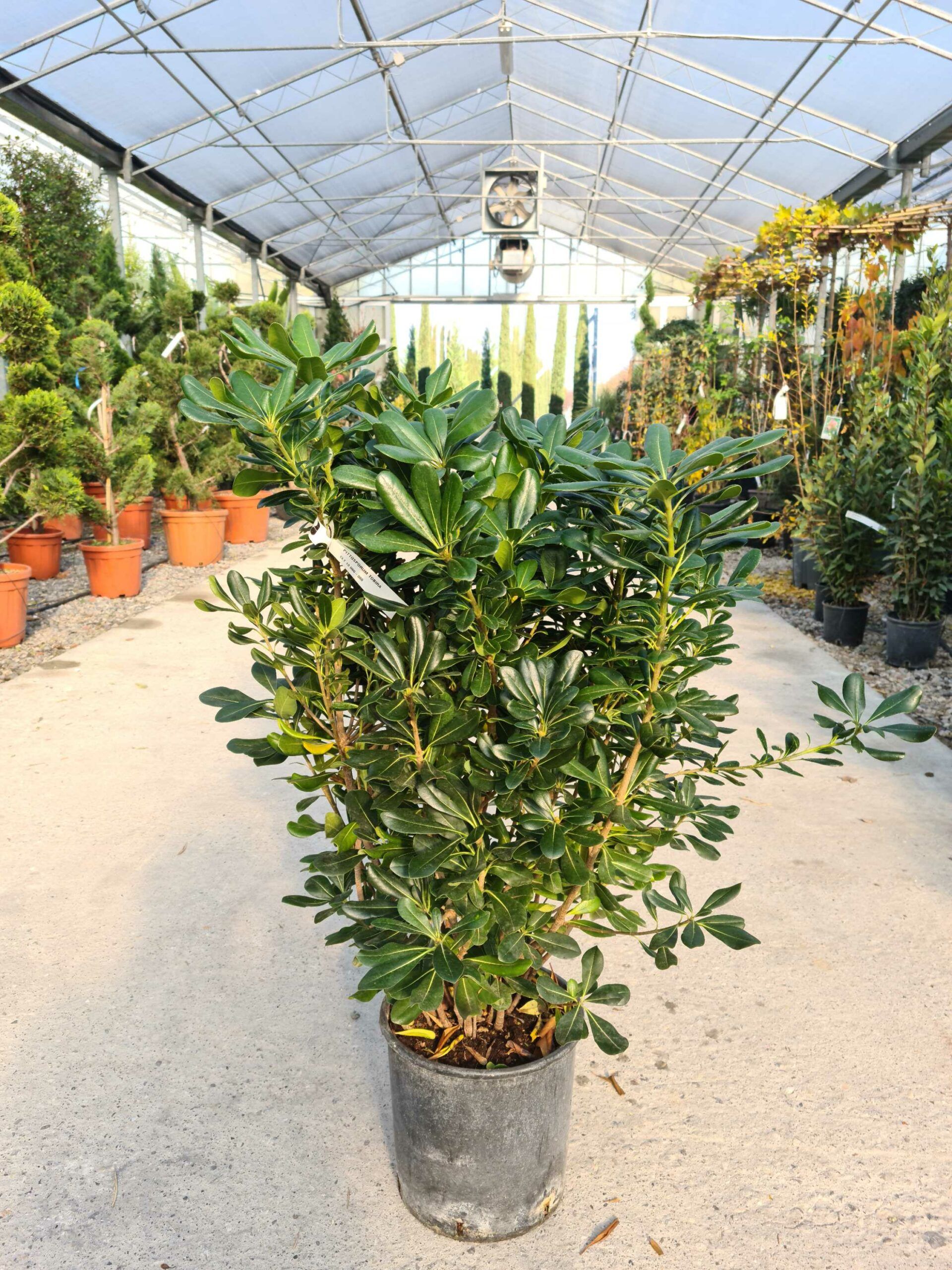 1639478431 scaled 3abe6ce0