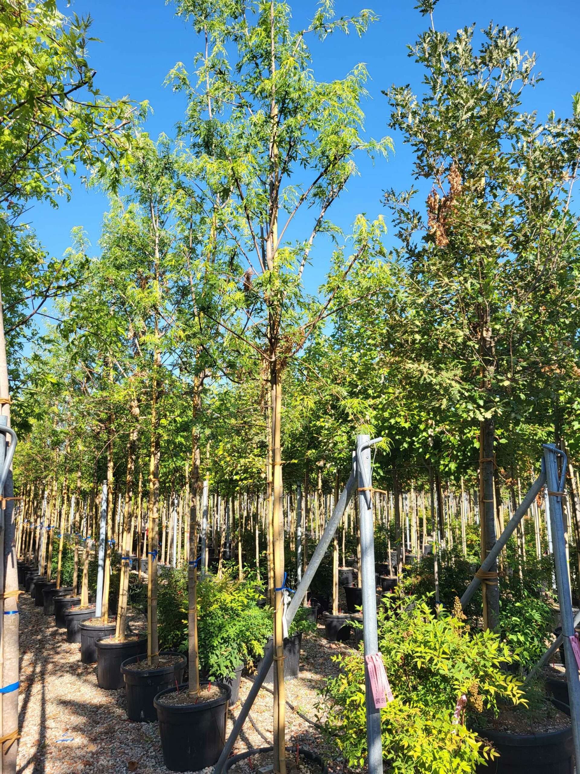 1692690105 scaled 3af36b19