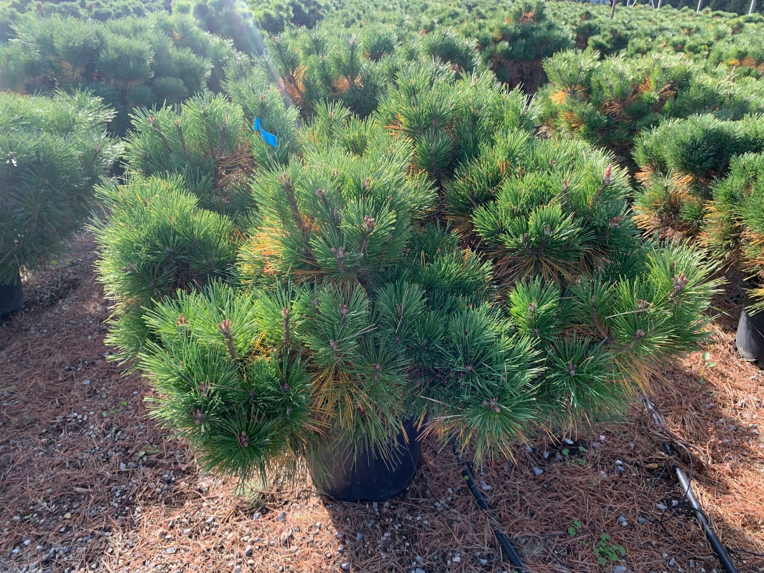 1635501670 scaled 3bd30ec1