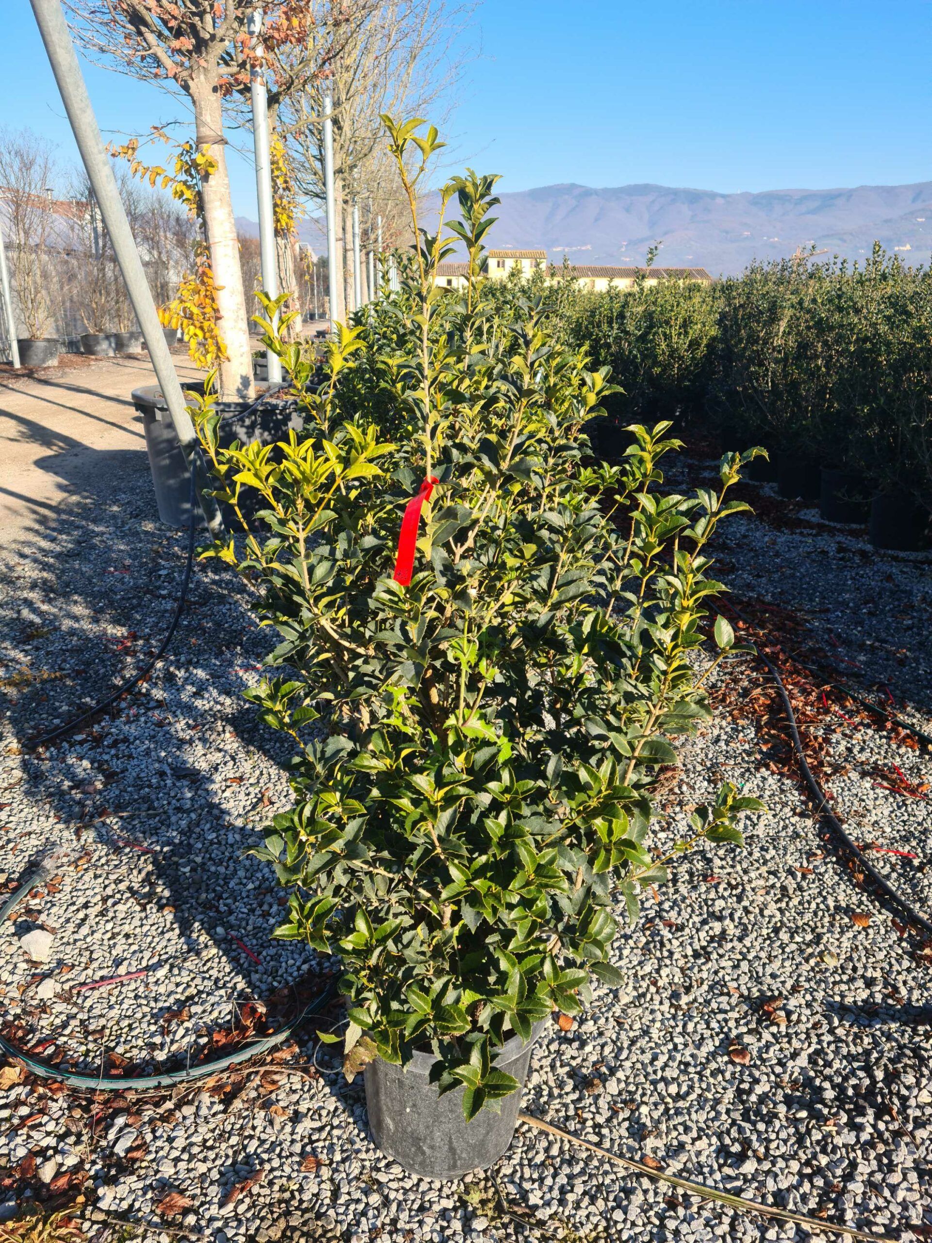 1639817757 scaled 3b4ea4de