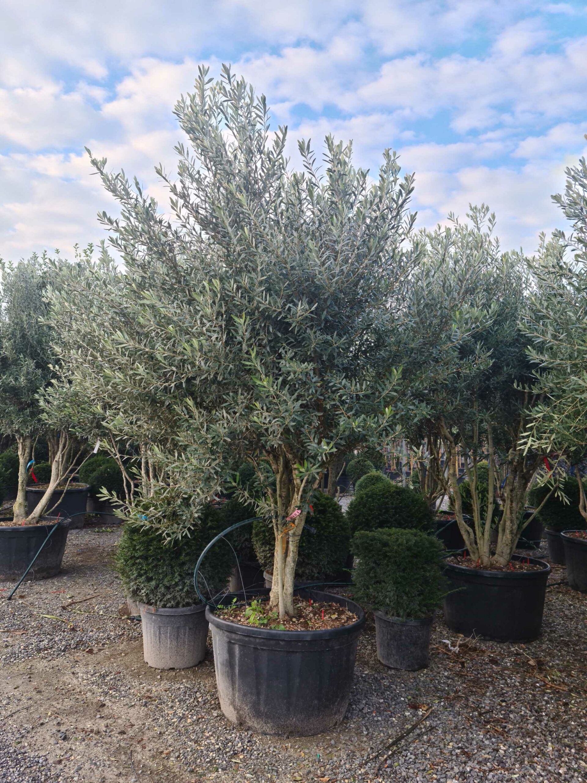 1640161021 scaled 3bc1eede