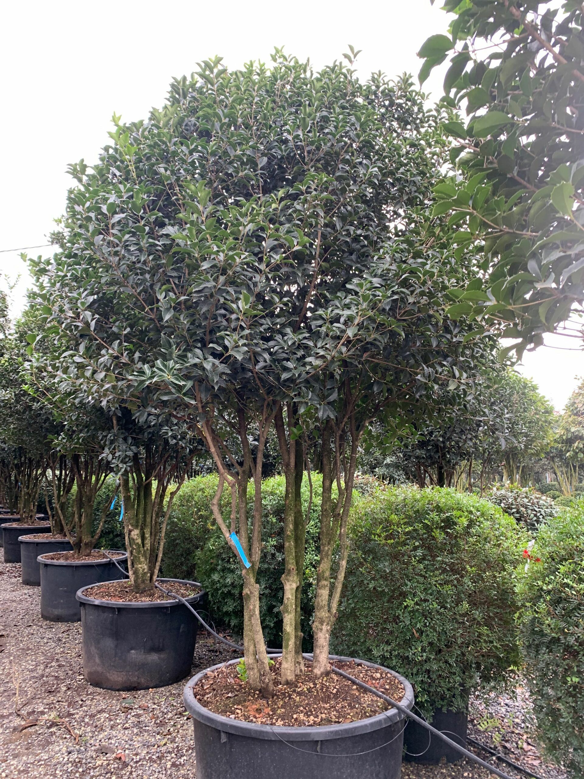 1641206173 scaled 3b1c35d2